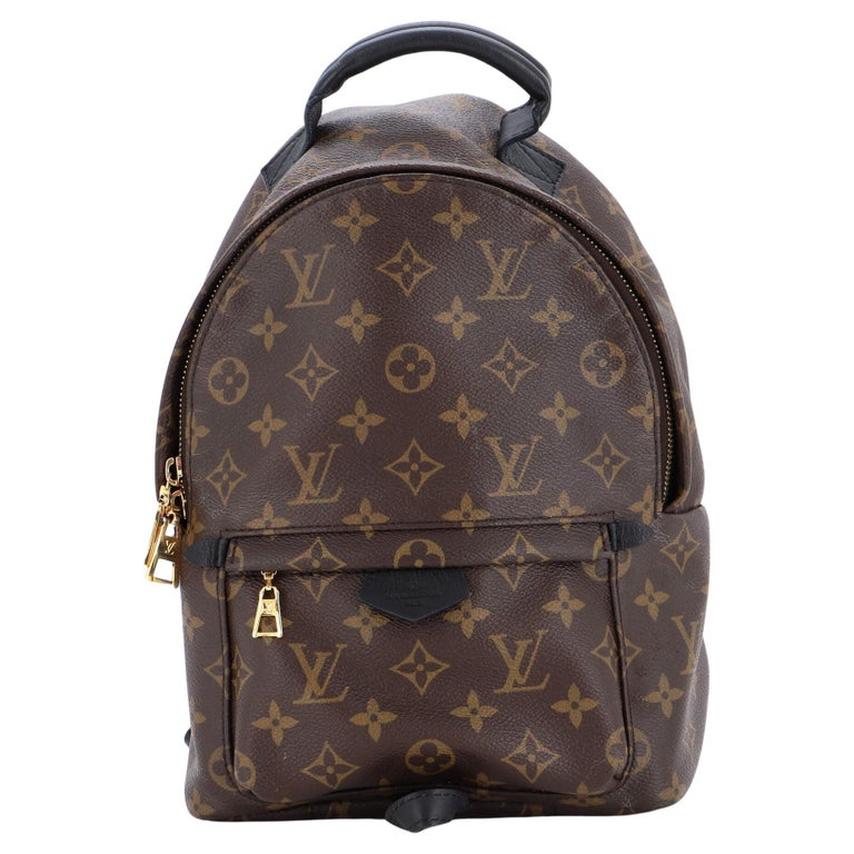 Louis Vuitton Reverse Palm Springs Mini Backpack at 1stDibs
