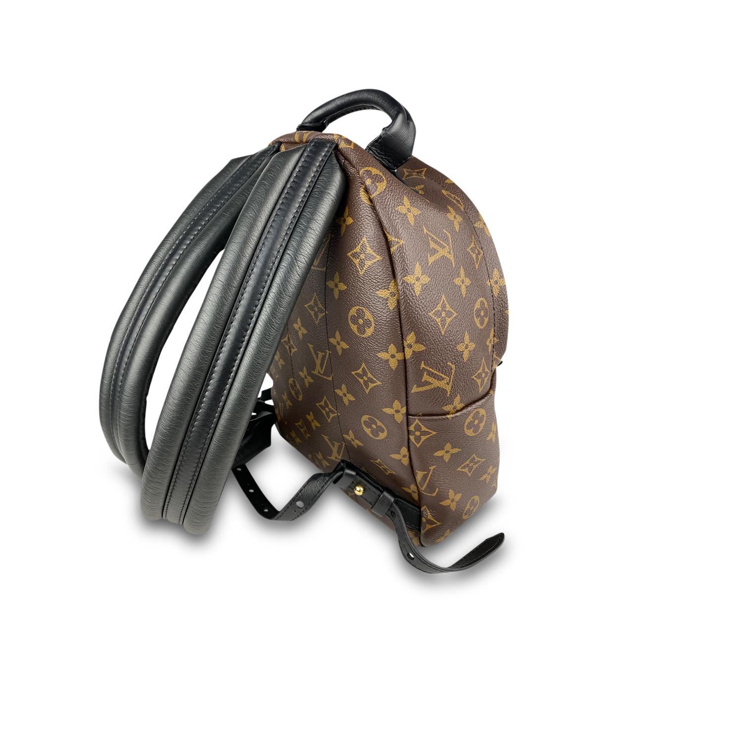 Louis Vuitton Palm Springs Backpack PM For Sale 5