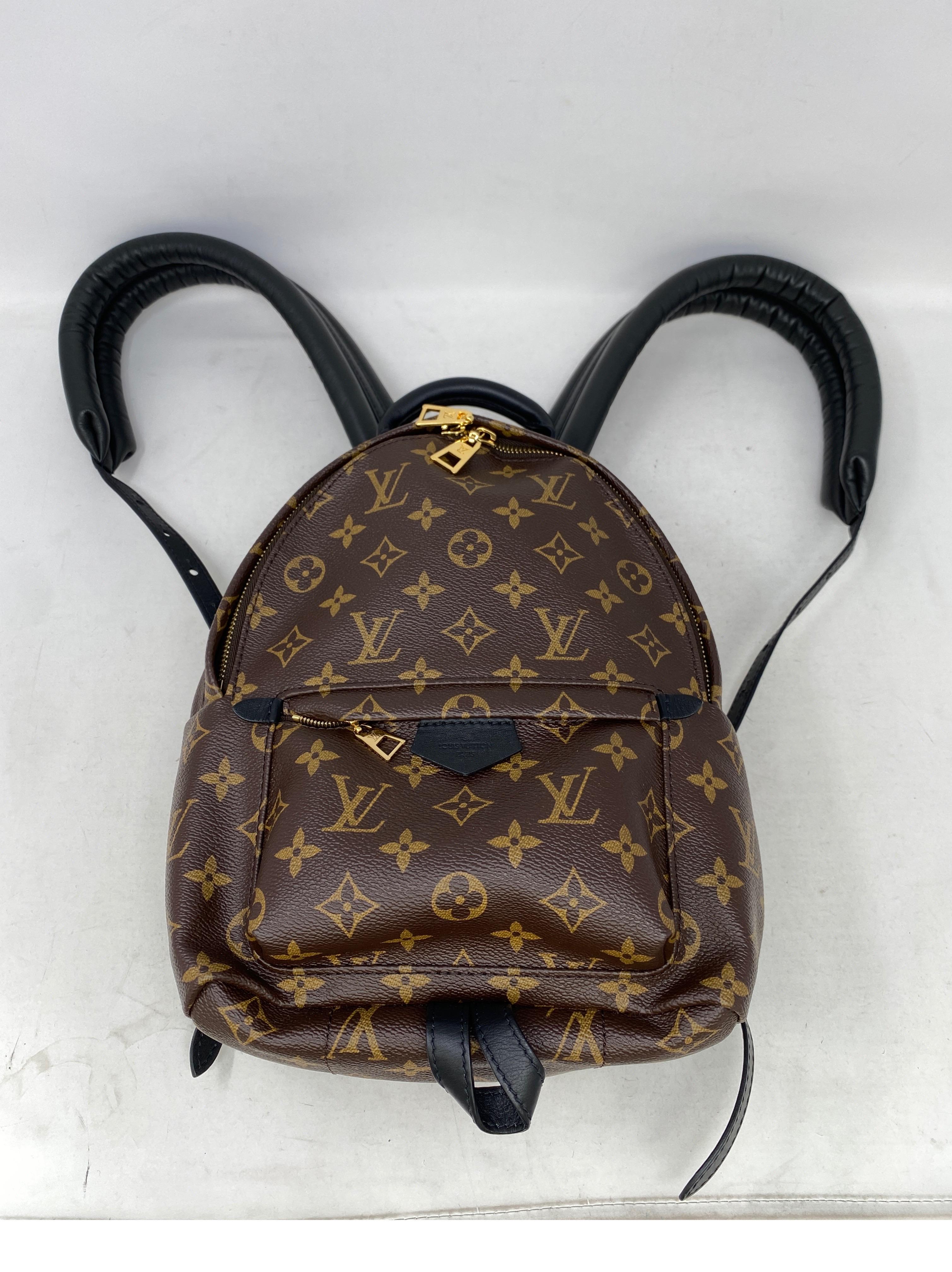 Louis Vuitton Palm Springs Backpack PM  5