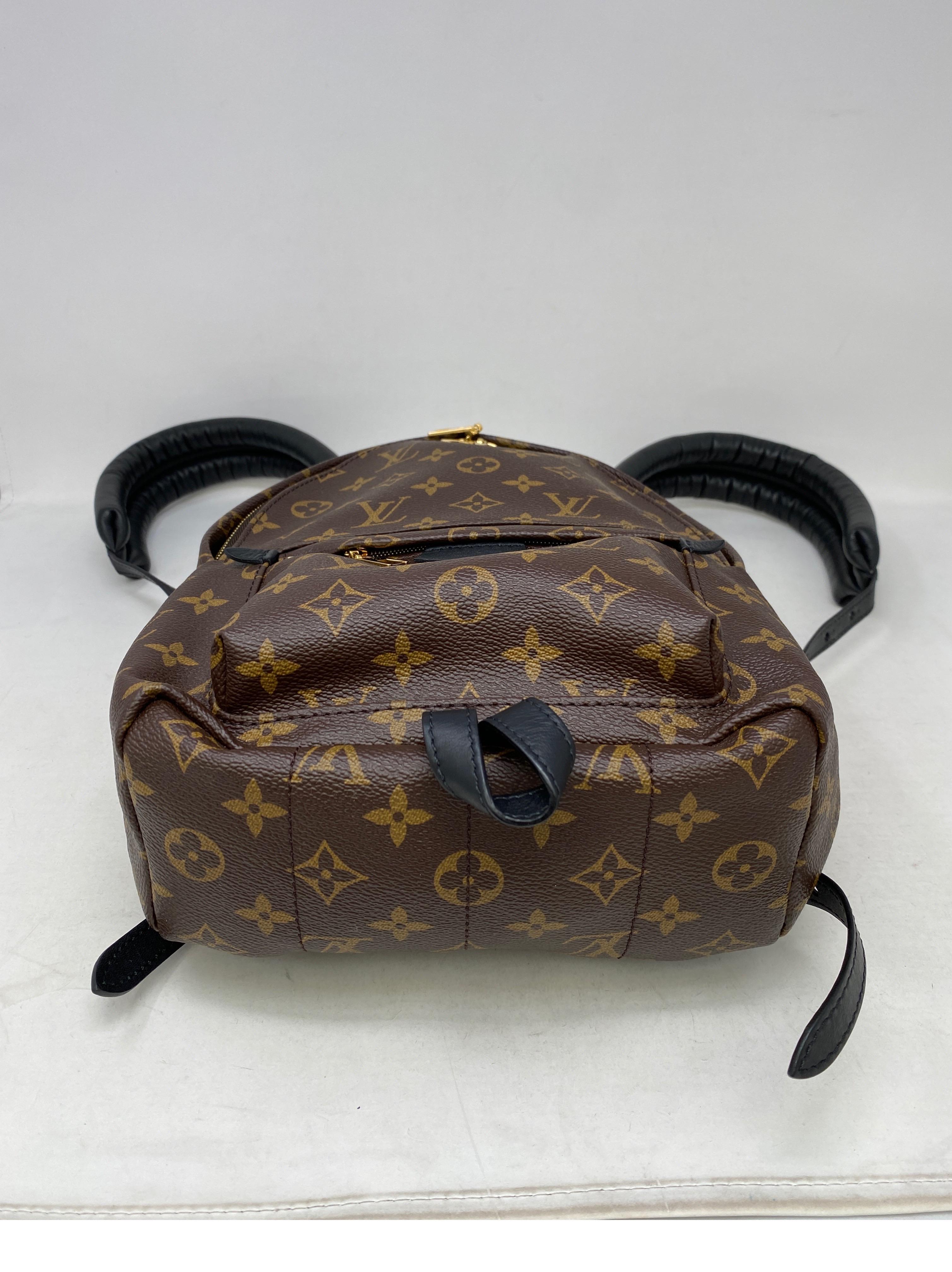 Louis Vuitton Palm Springs Backpack PM  6