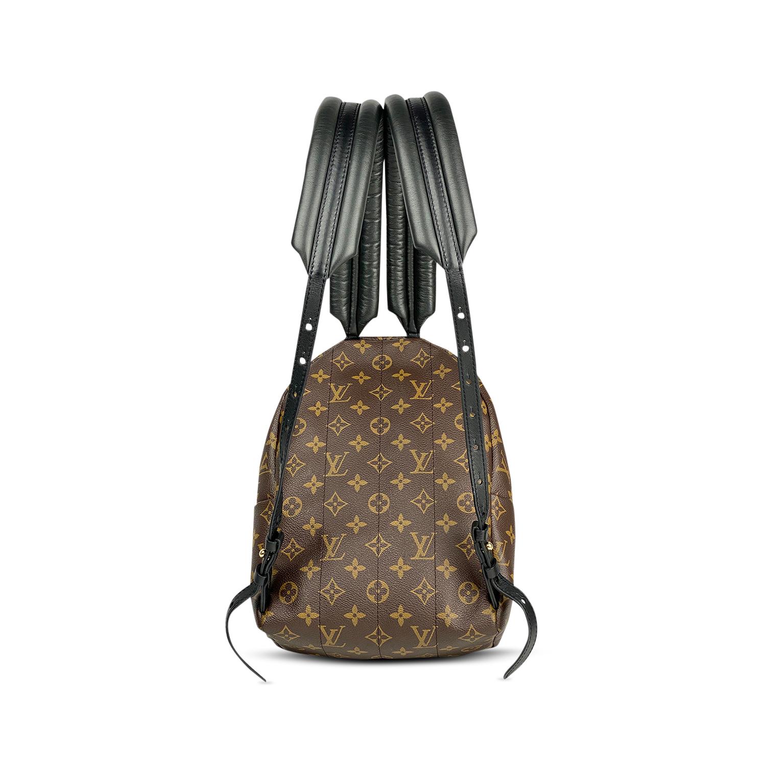 Louis Vuitton Palm Springs Backpack PM For Sale 7