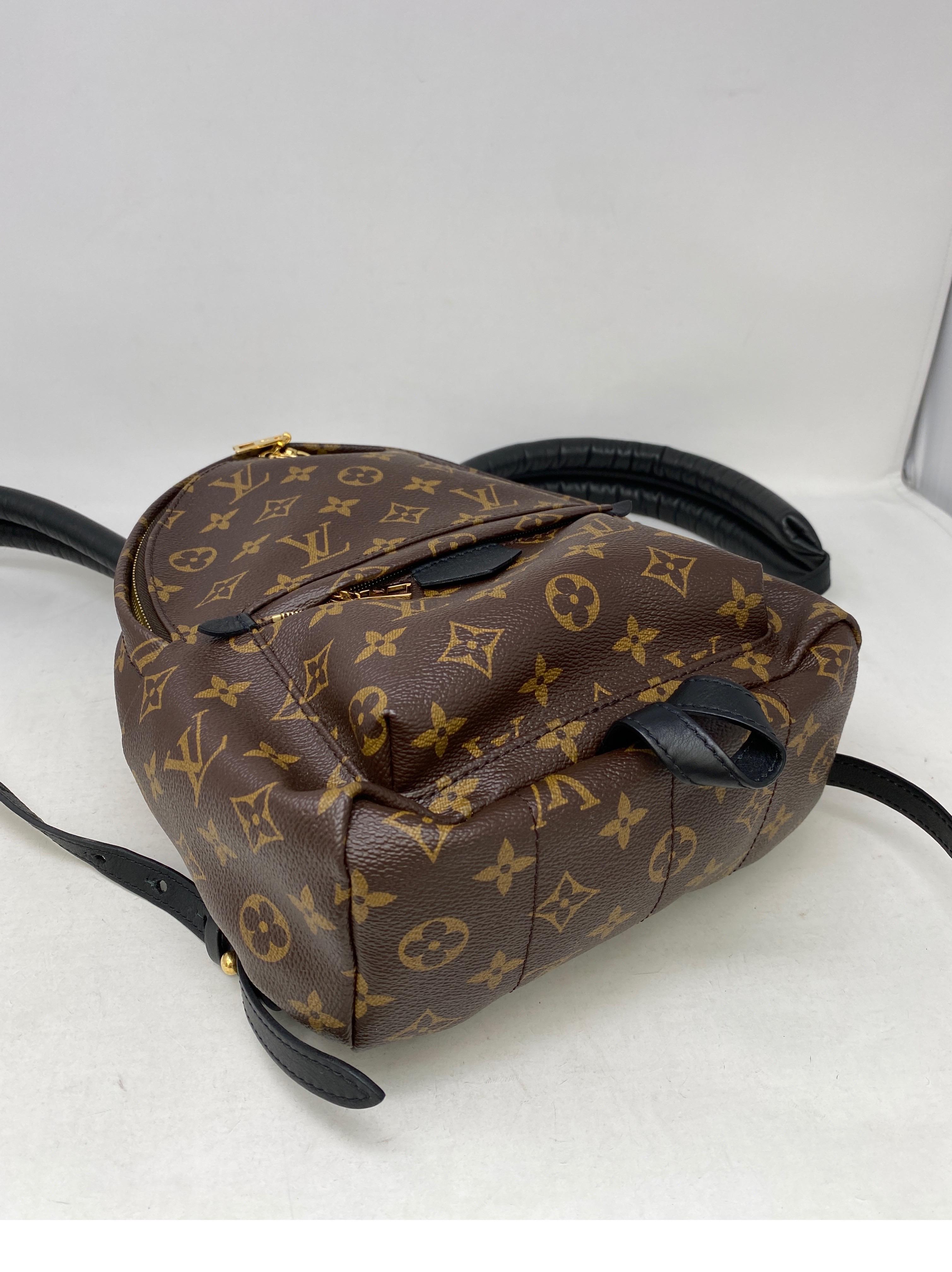 Louis Vuitton Palm Springs Backpack PM  7