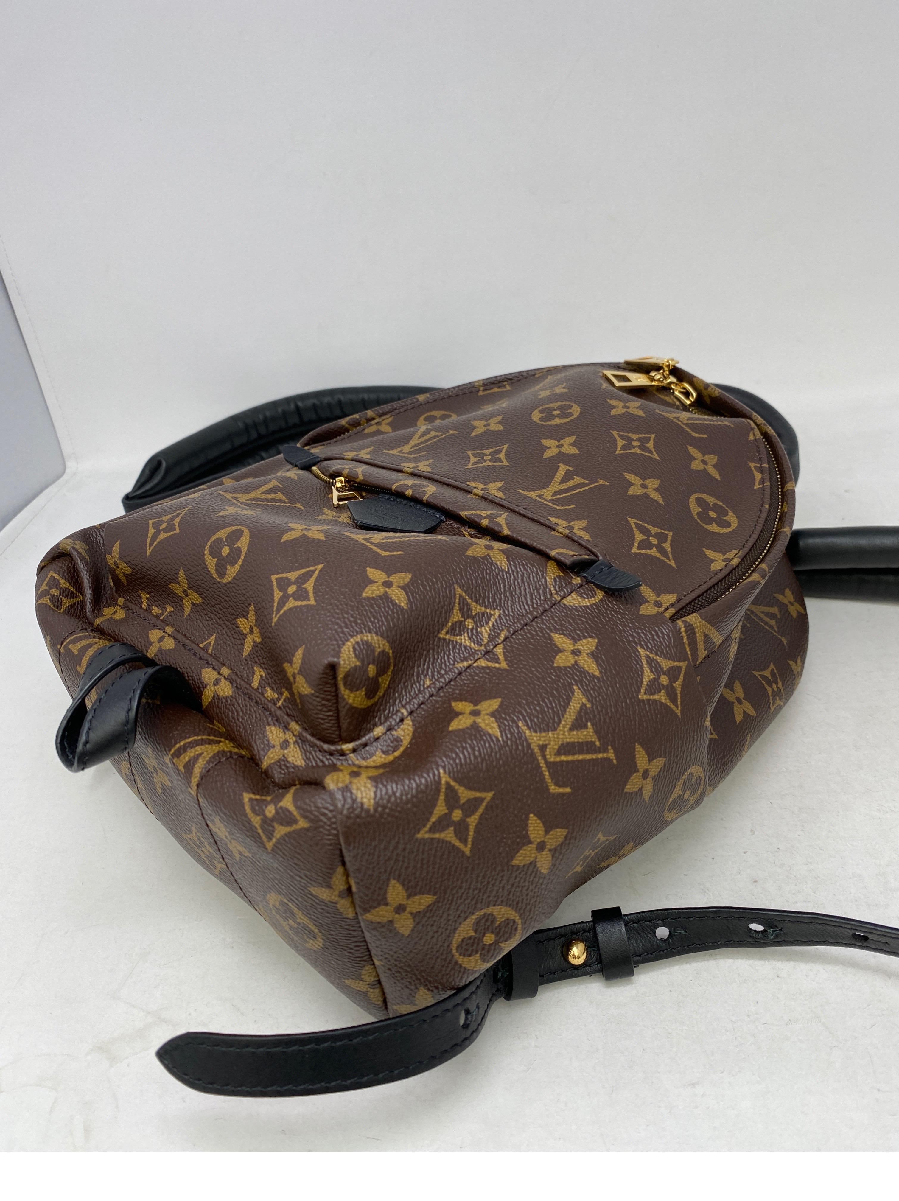 Louis Vuitton Palm Springs Backpack PM  8