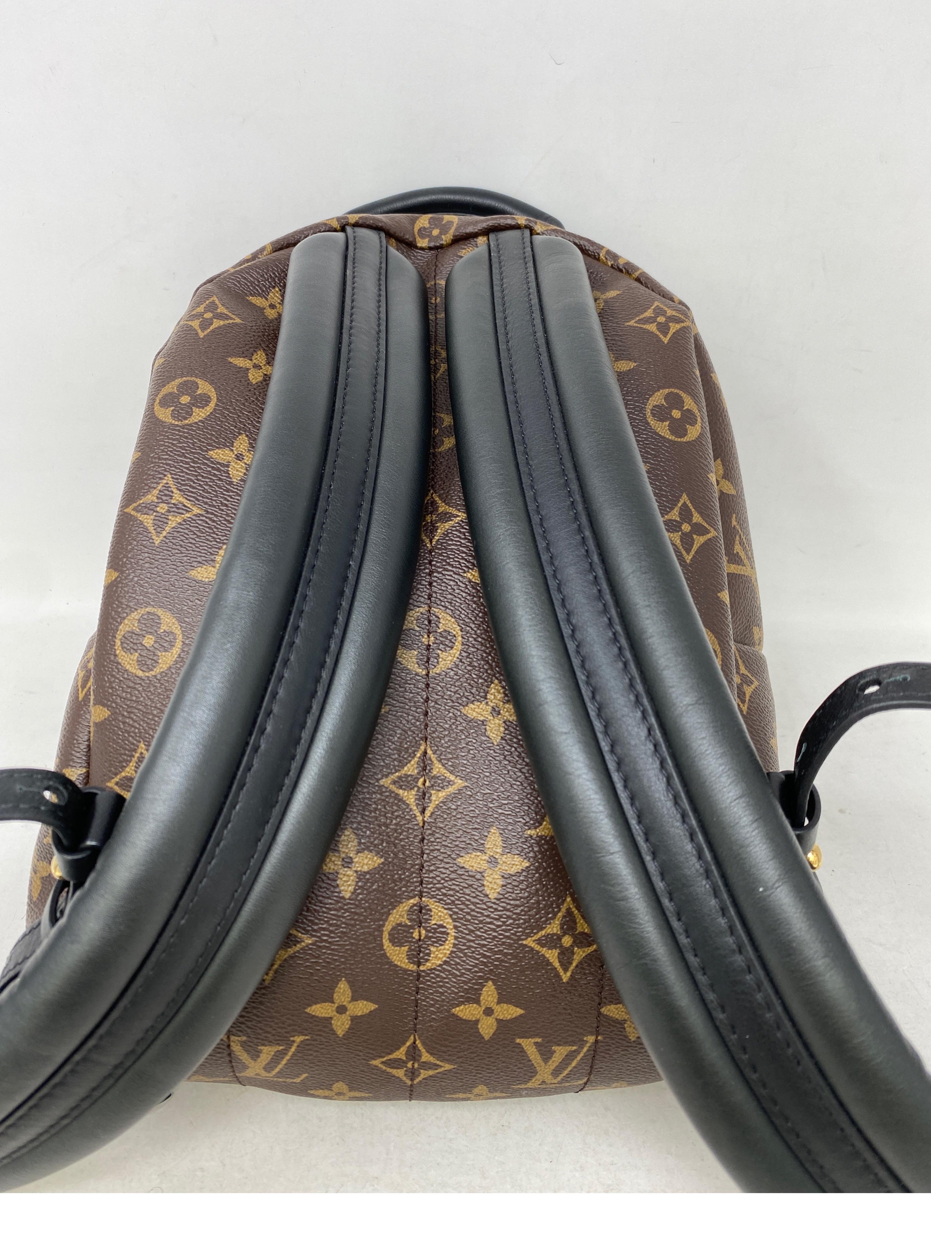 Louis Vuitton Palm Springs Backpack PM  9