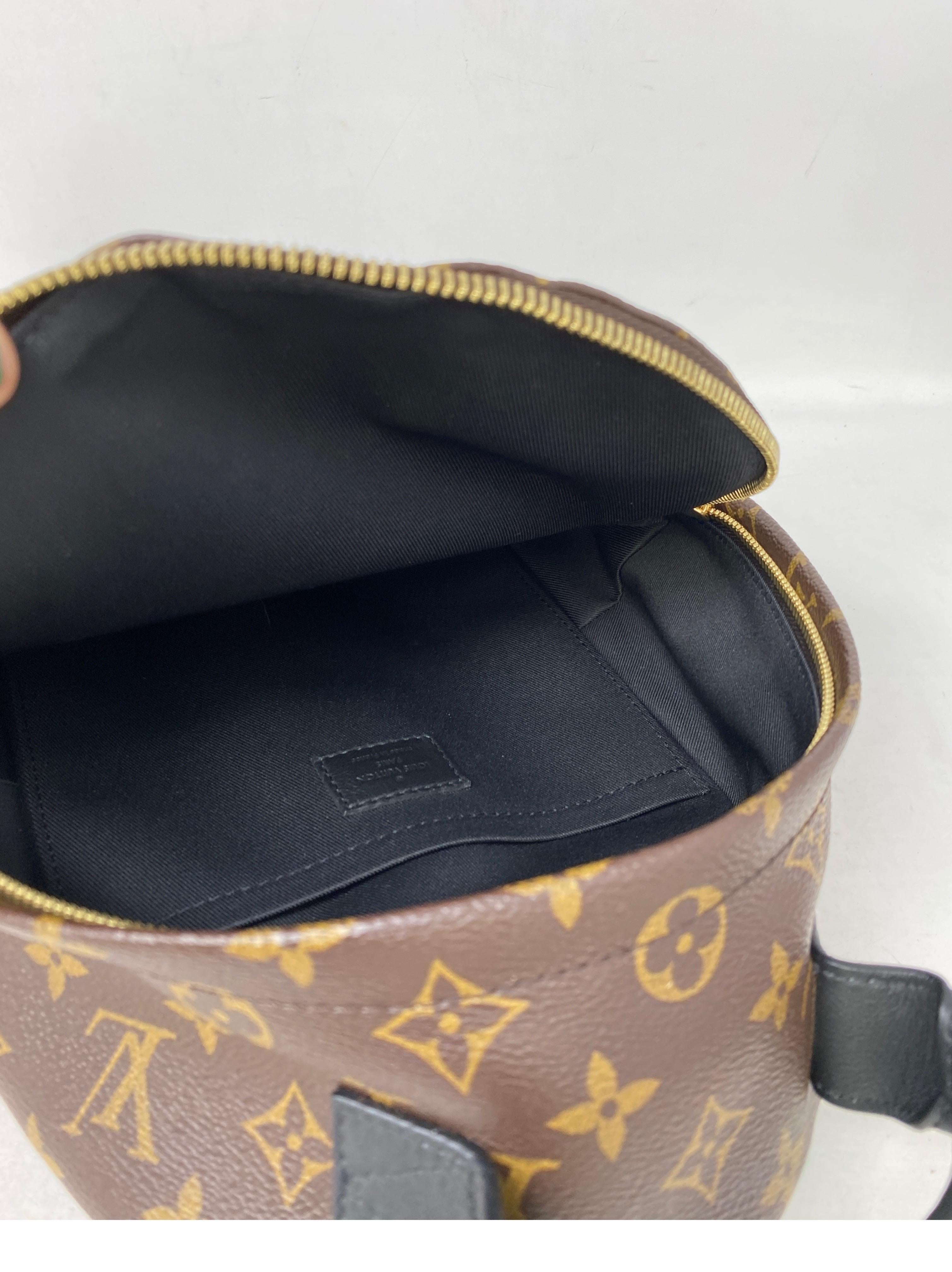 Louis Vuitton Palm Springs Backpack PM  10