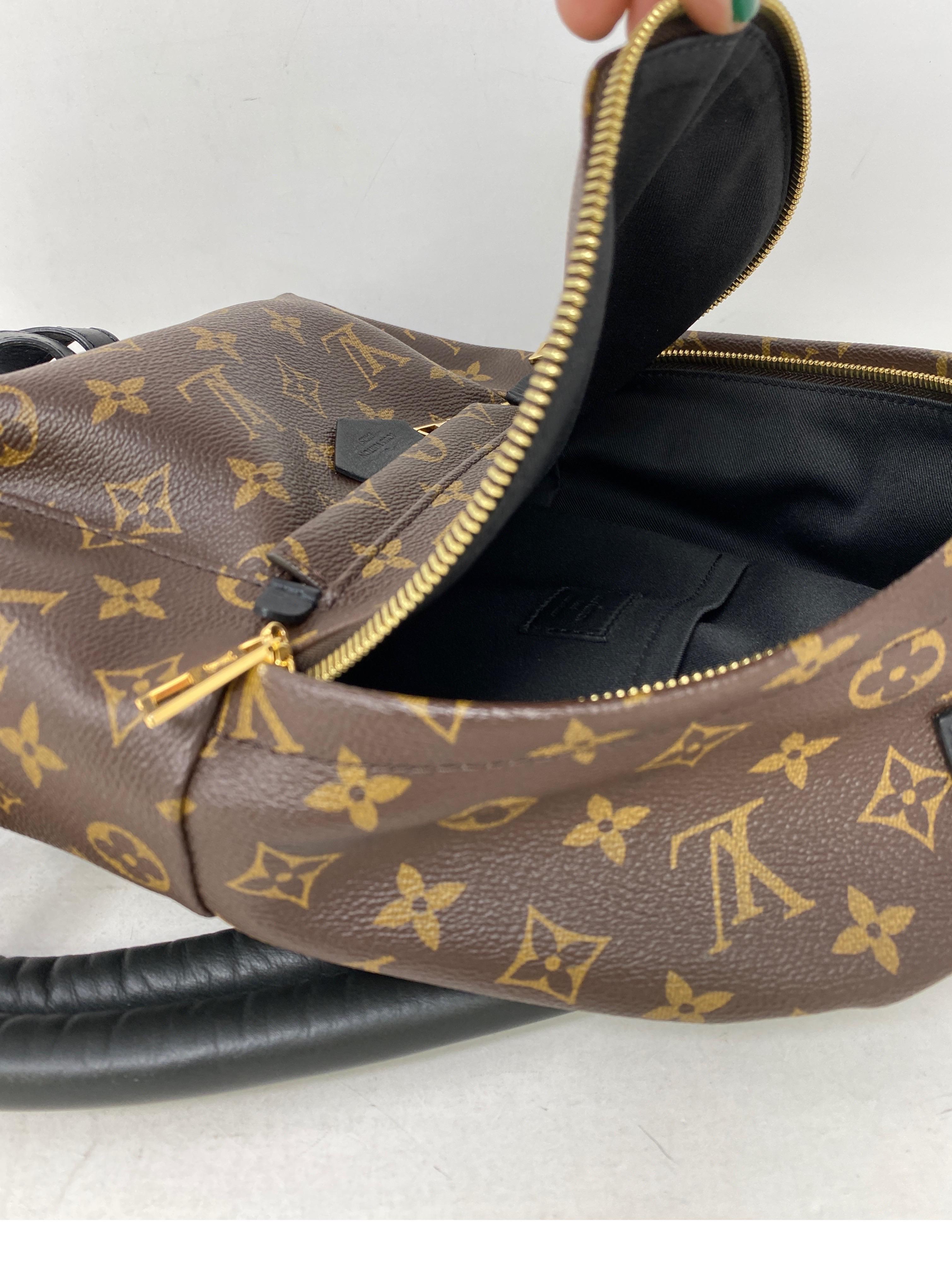 Louis Vuitton Palm Springs Backpack PM  11