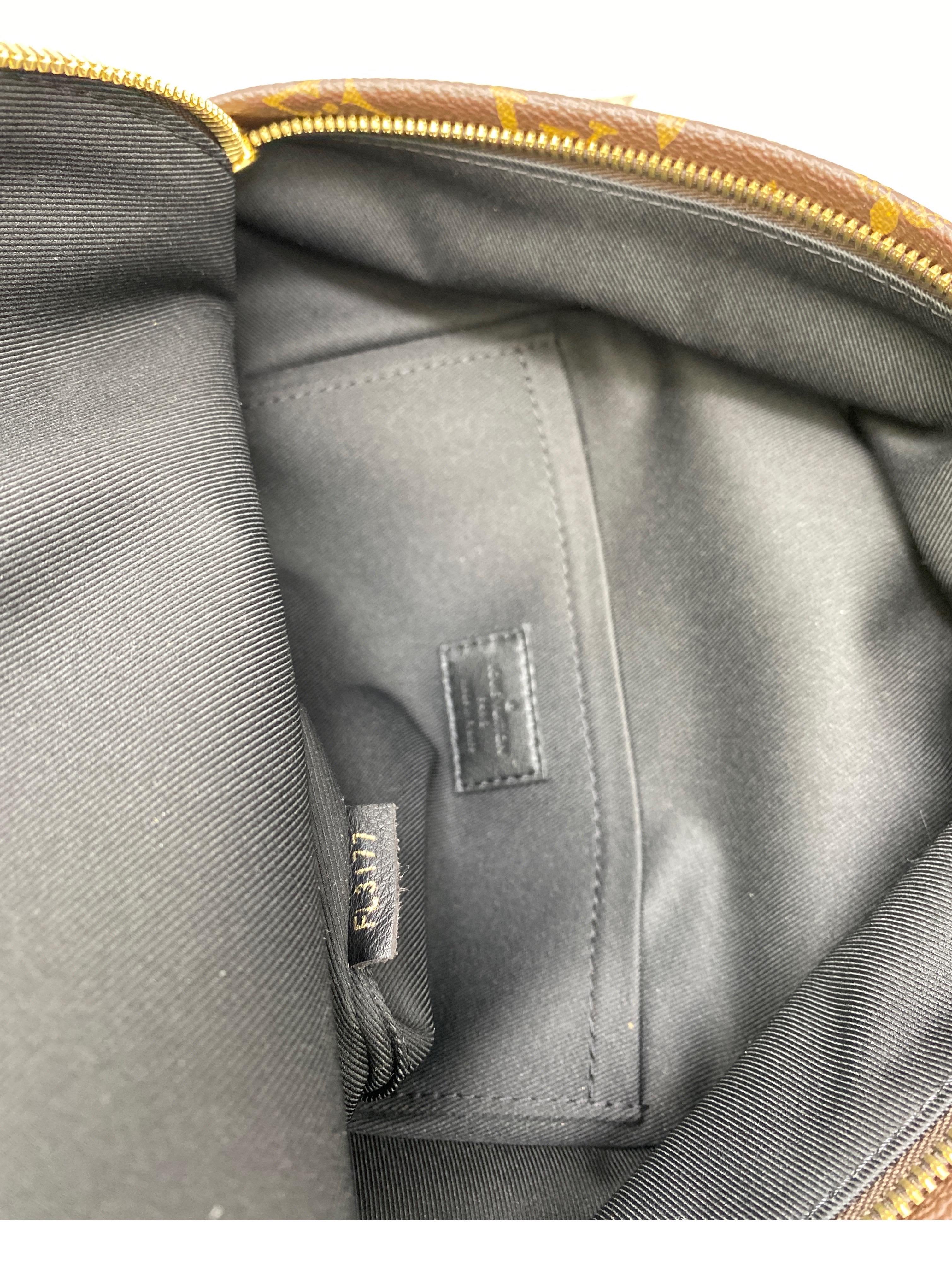 Louis Vuitton Palm Springs Backpack PM  13