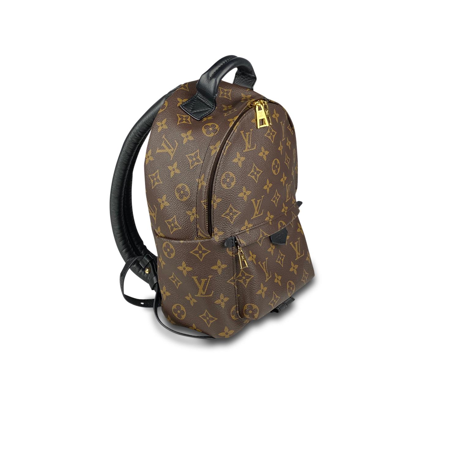 Black Louis Vuitton Palm Springs Backpack PM For Sale