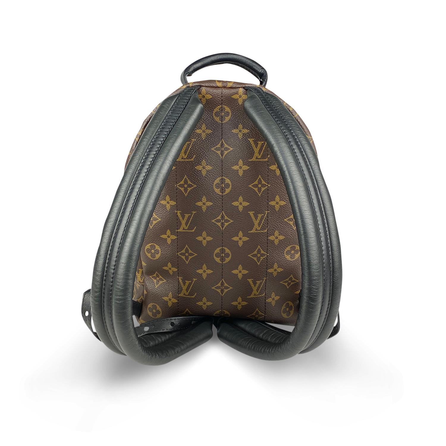 Louis Vuitton Palm Springs Backpack PM In Good Condition For Sale In Sundbyberg, SE