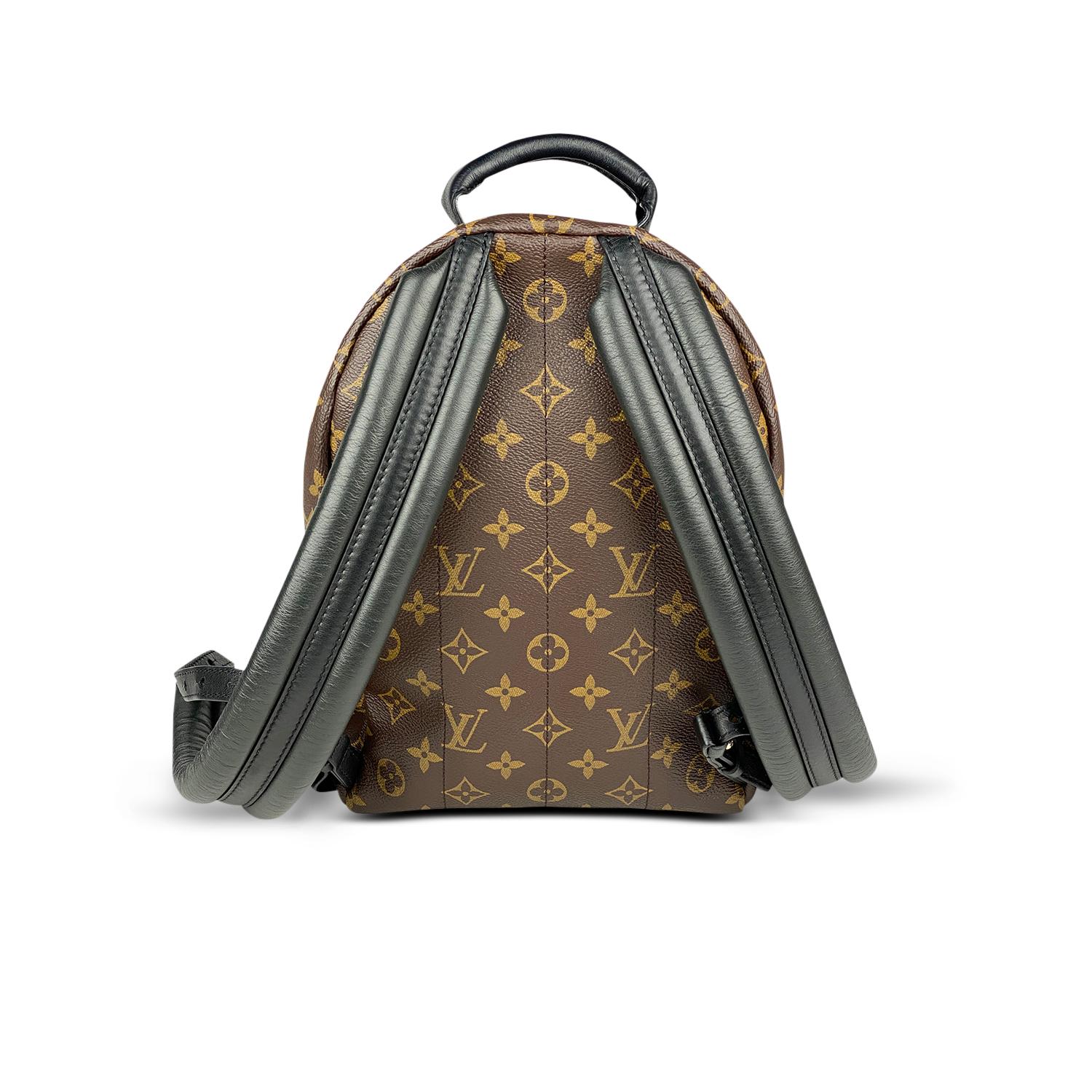 Women's Louis Vuitton Palm Springs Backpack PM For Sale