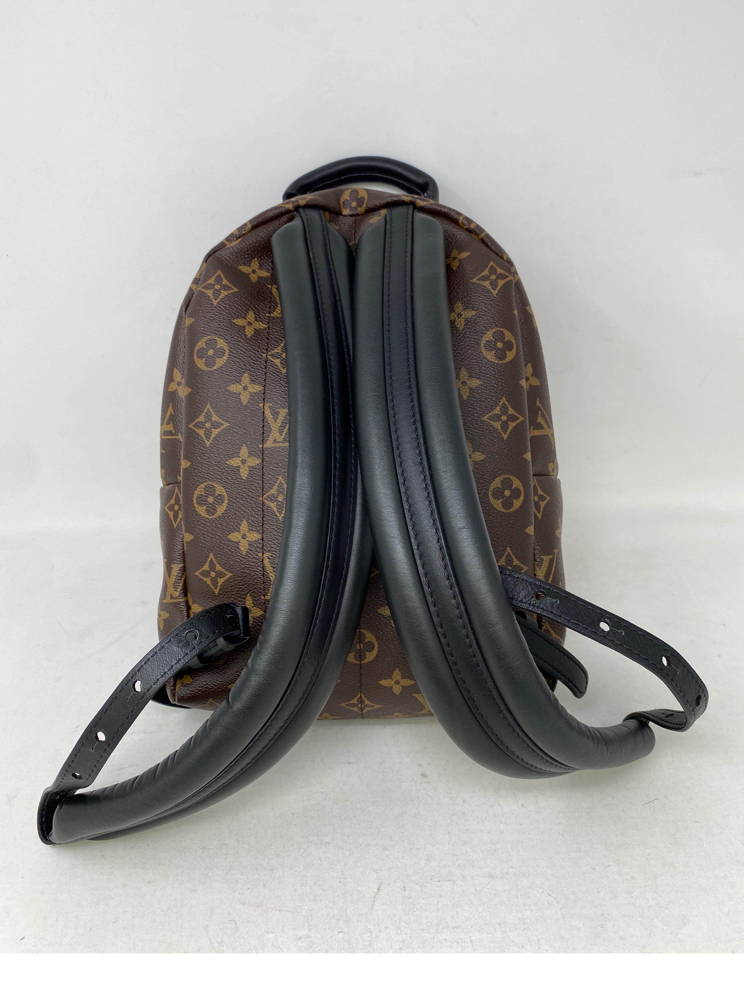 Women's or Men's Louis Vuitton Palm Springs Backpack PM 