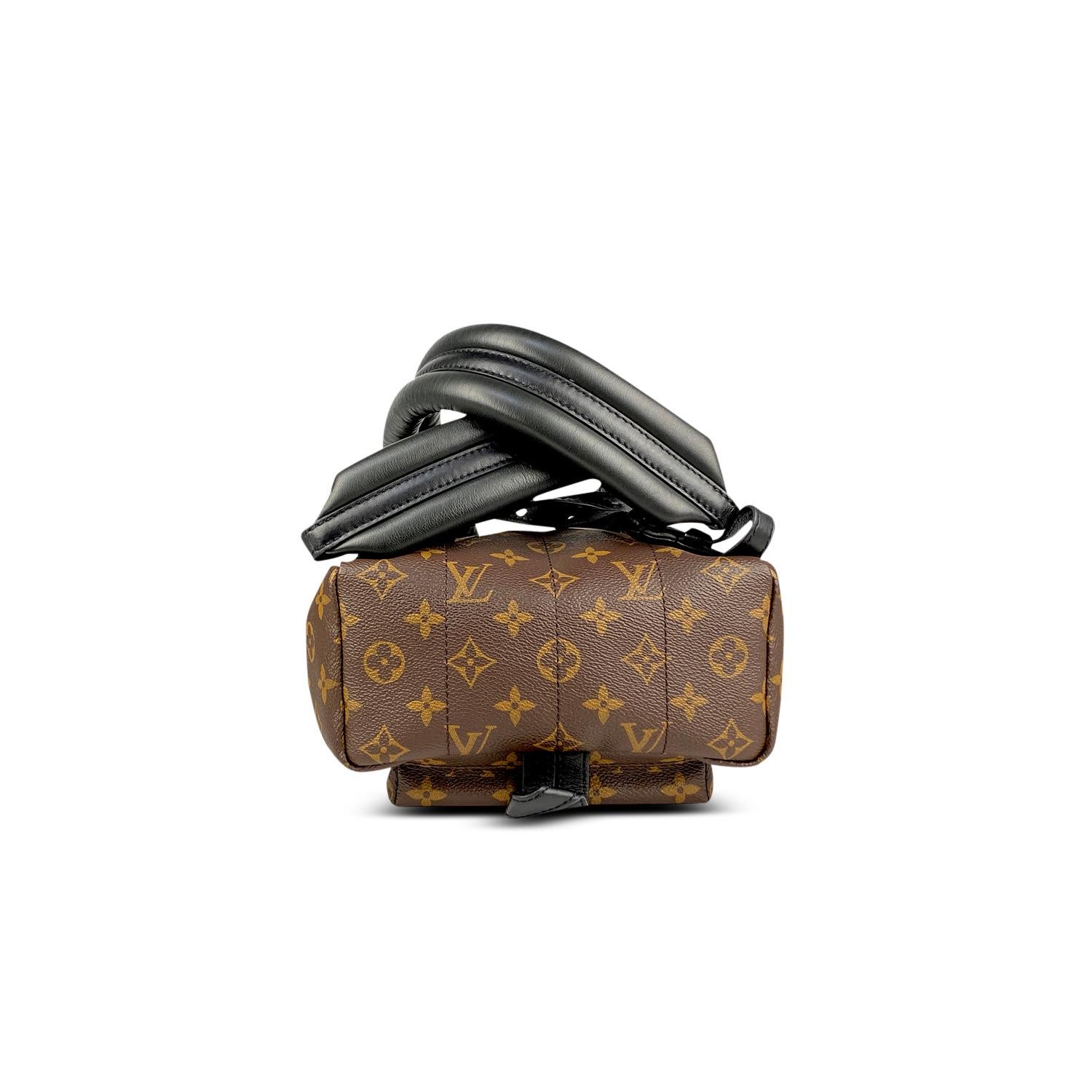 Louis Vuitton Palm Springs Backpack PM For Sale 1