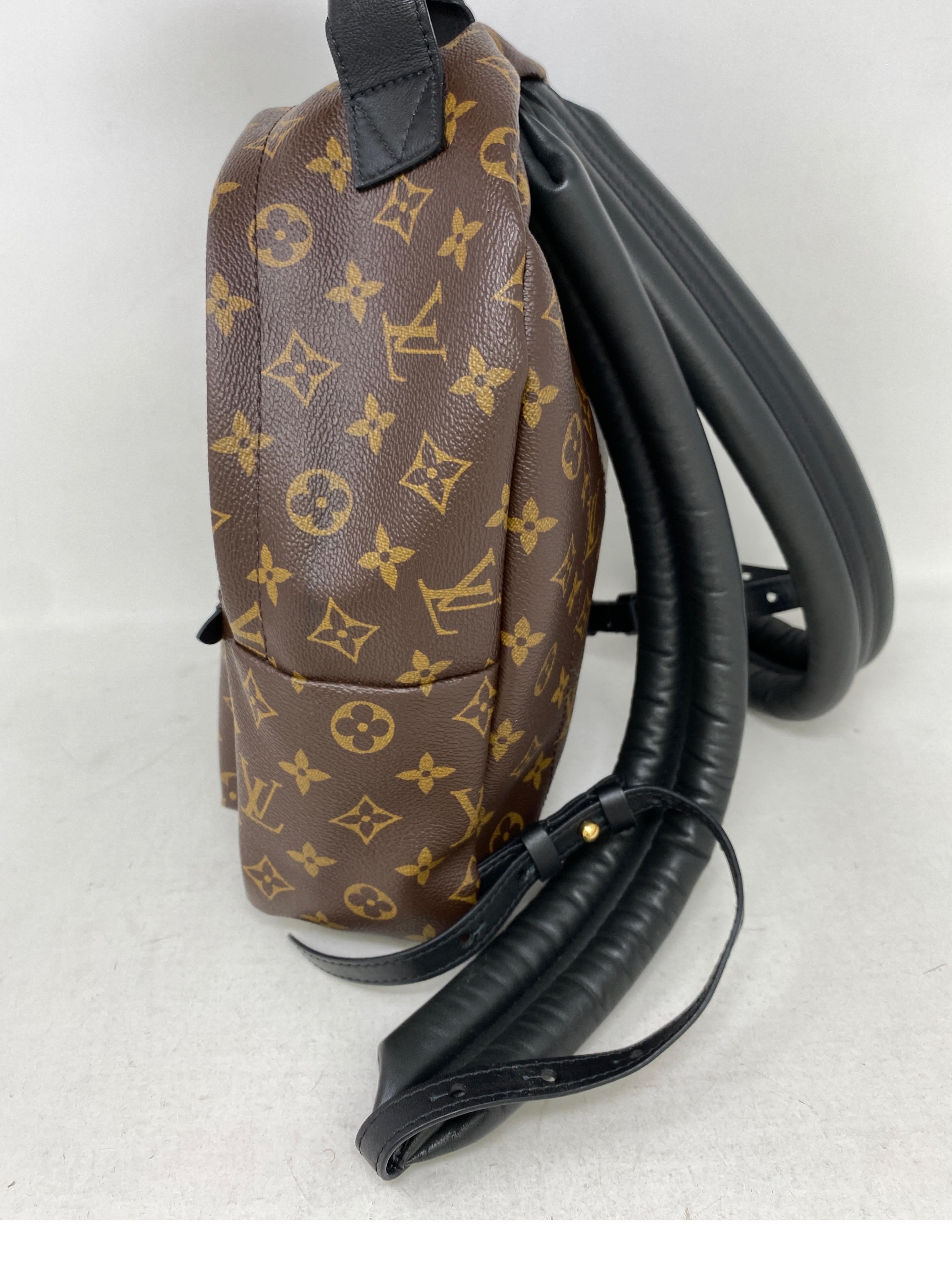 Louis Vuitton Palm Springs Backpack PM  1
