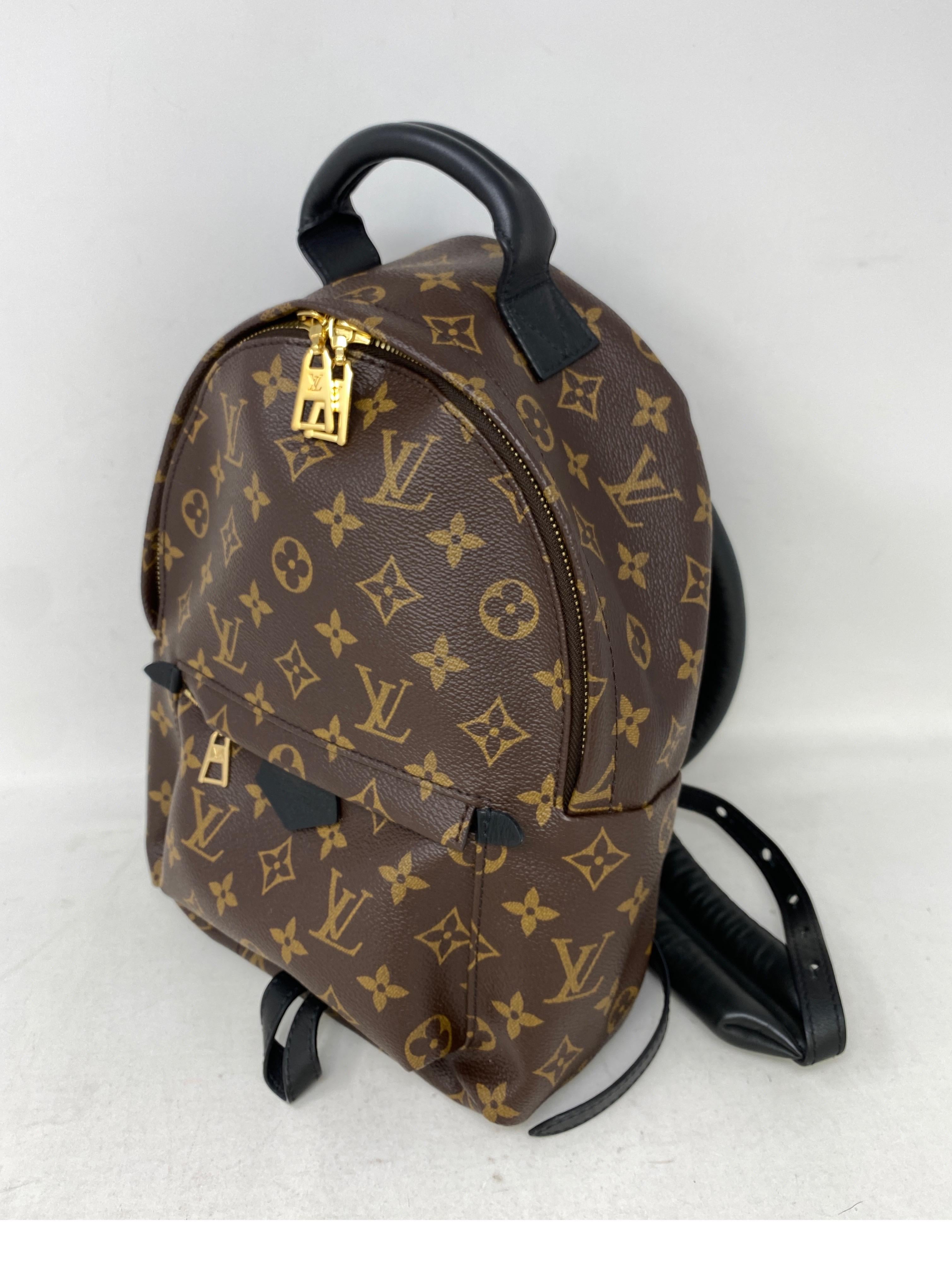 Louis Vuitton Palm Springs Backpack PM  2