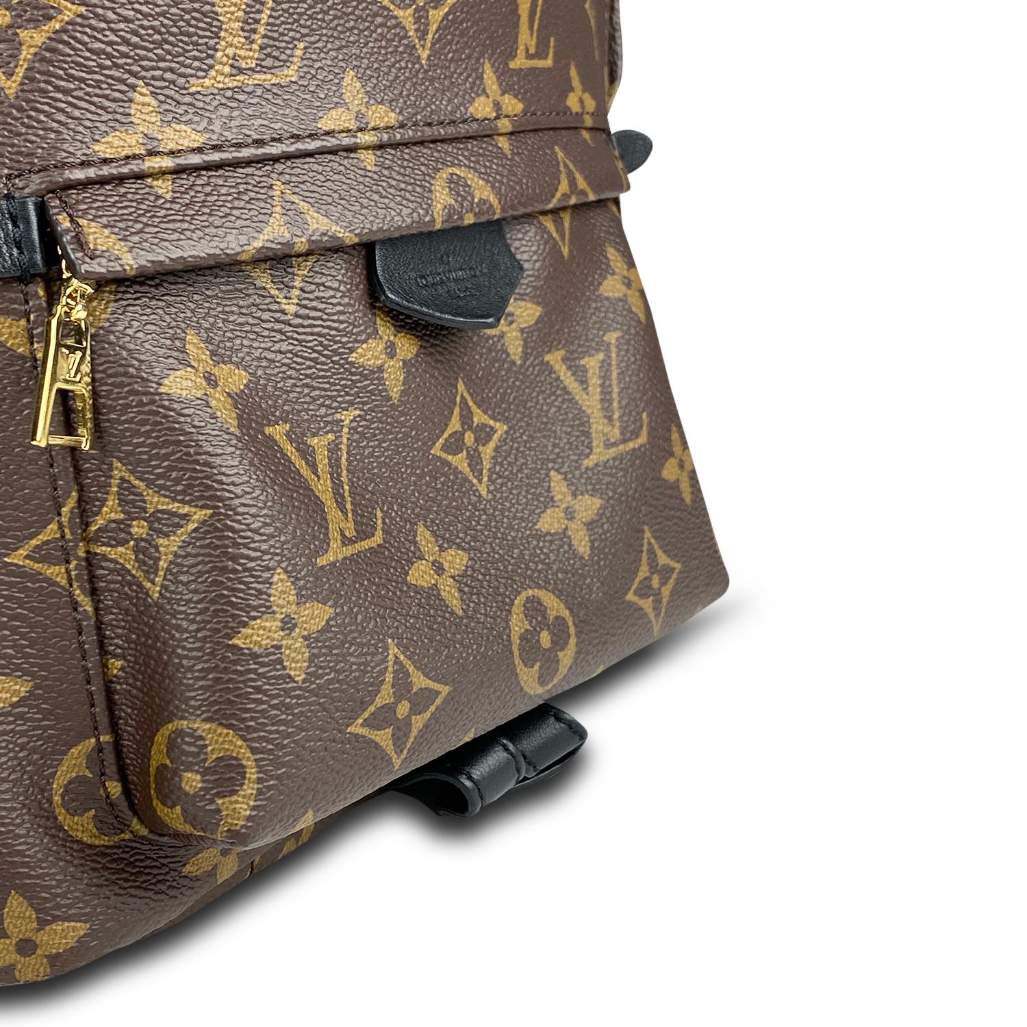 Louis Vuitton Palm Springs Backpack PM For Sale 3