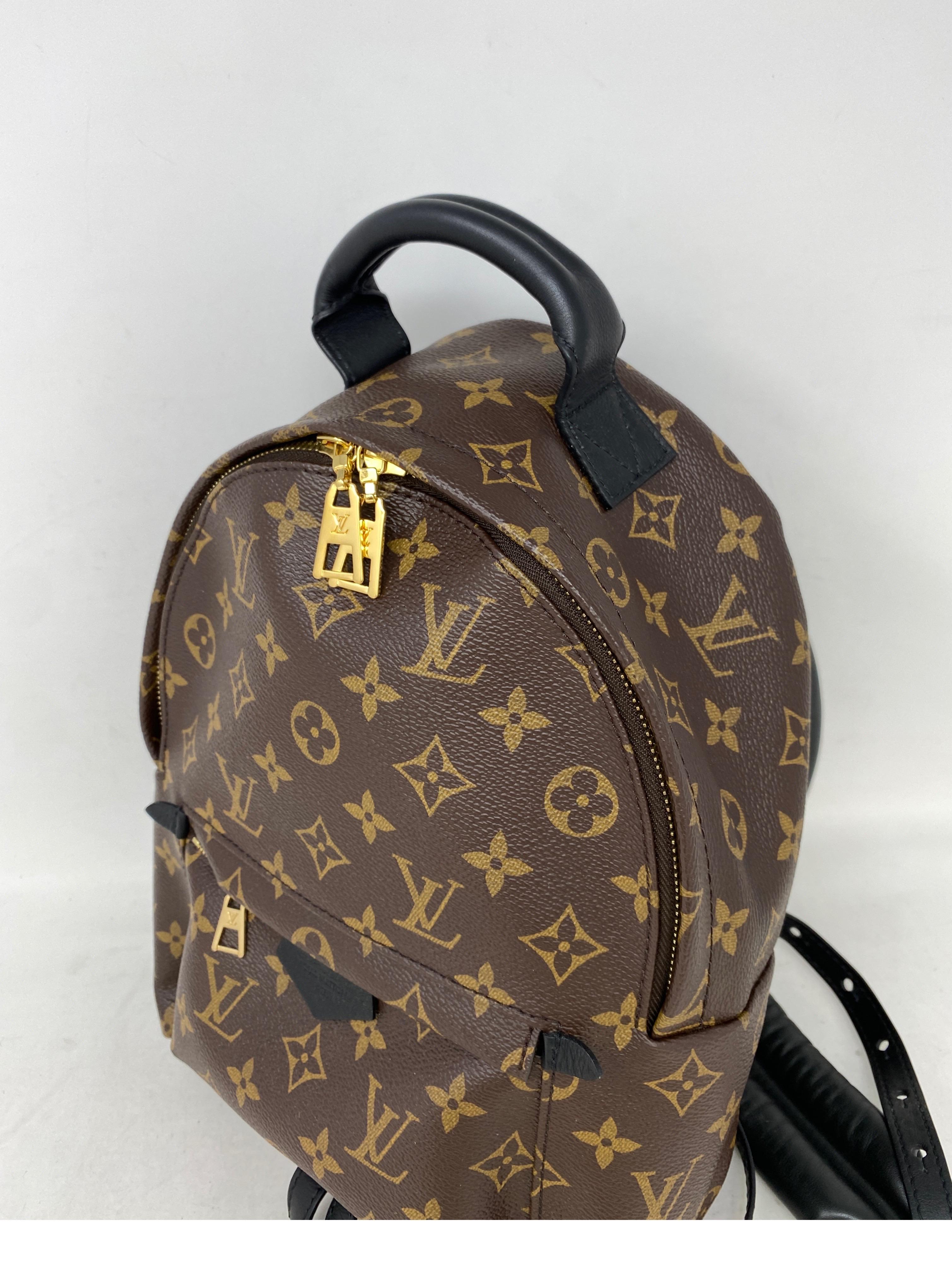 Louis Vuitton Palm Springs Backpack PM  3