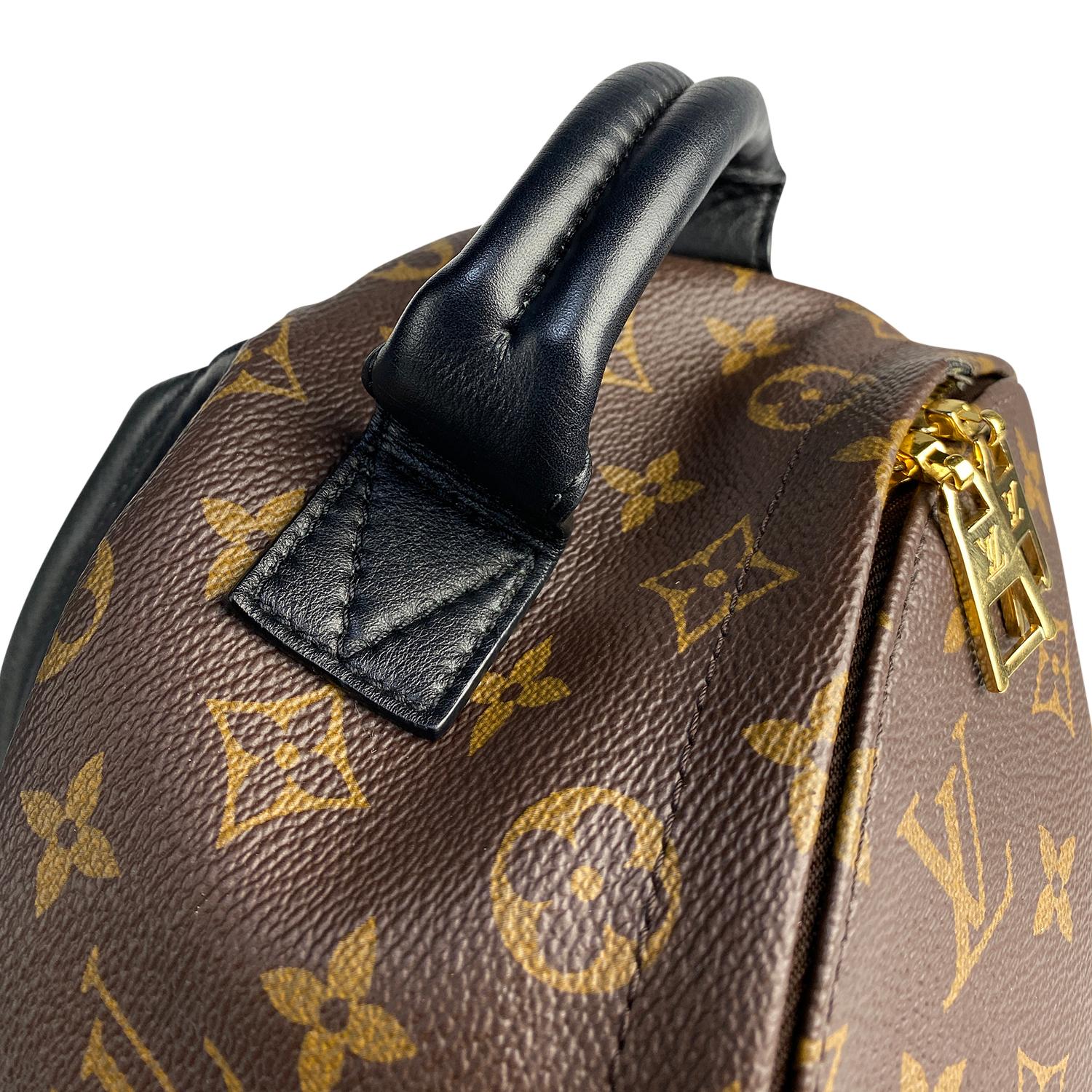 Louis Vuitton Palm Springs Backpack PM For Sale 4