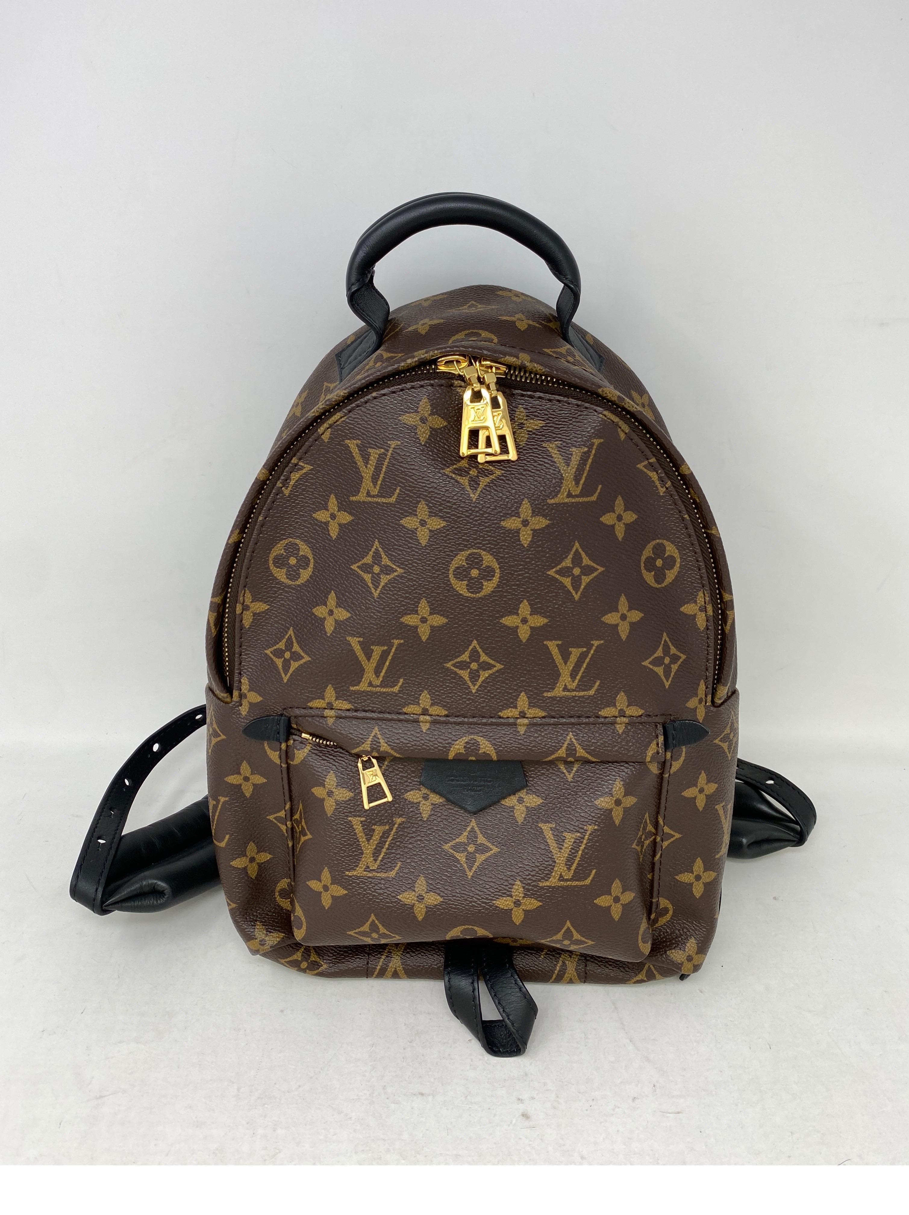 Louis Vuitton Palm Springs Backpack PM  4