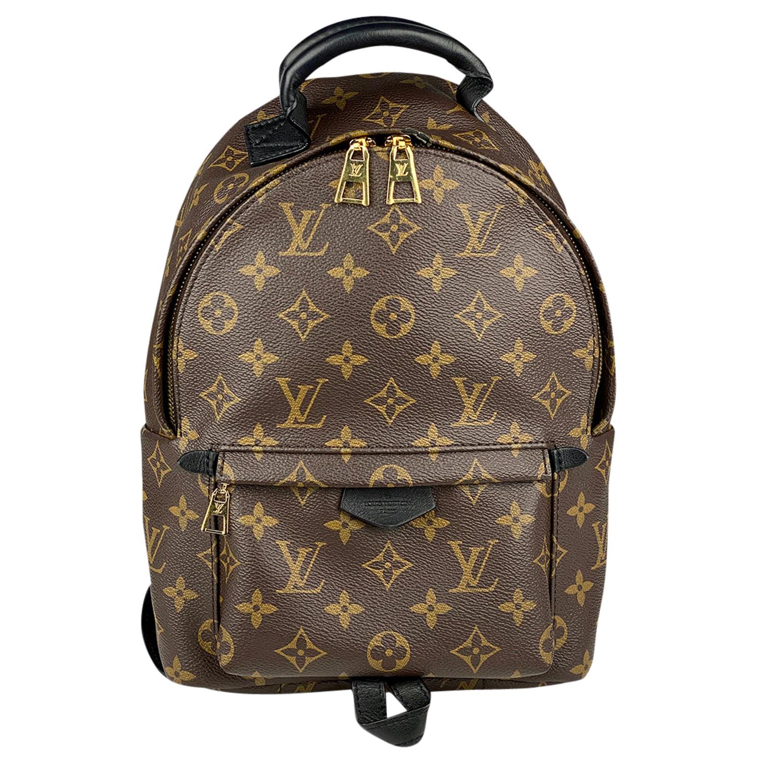Louis Vuitton Palm Springs Backpack PM For Sale