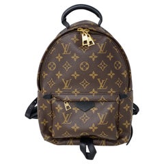 Louis Vuitton Palm Springs Backpack PM