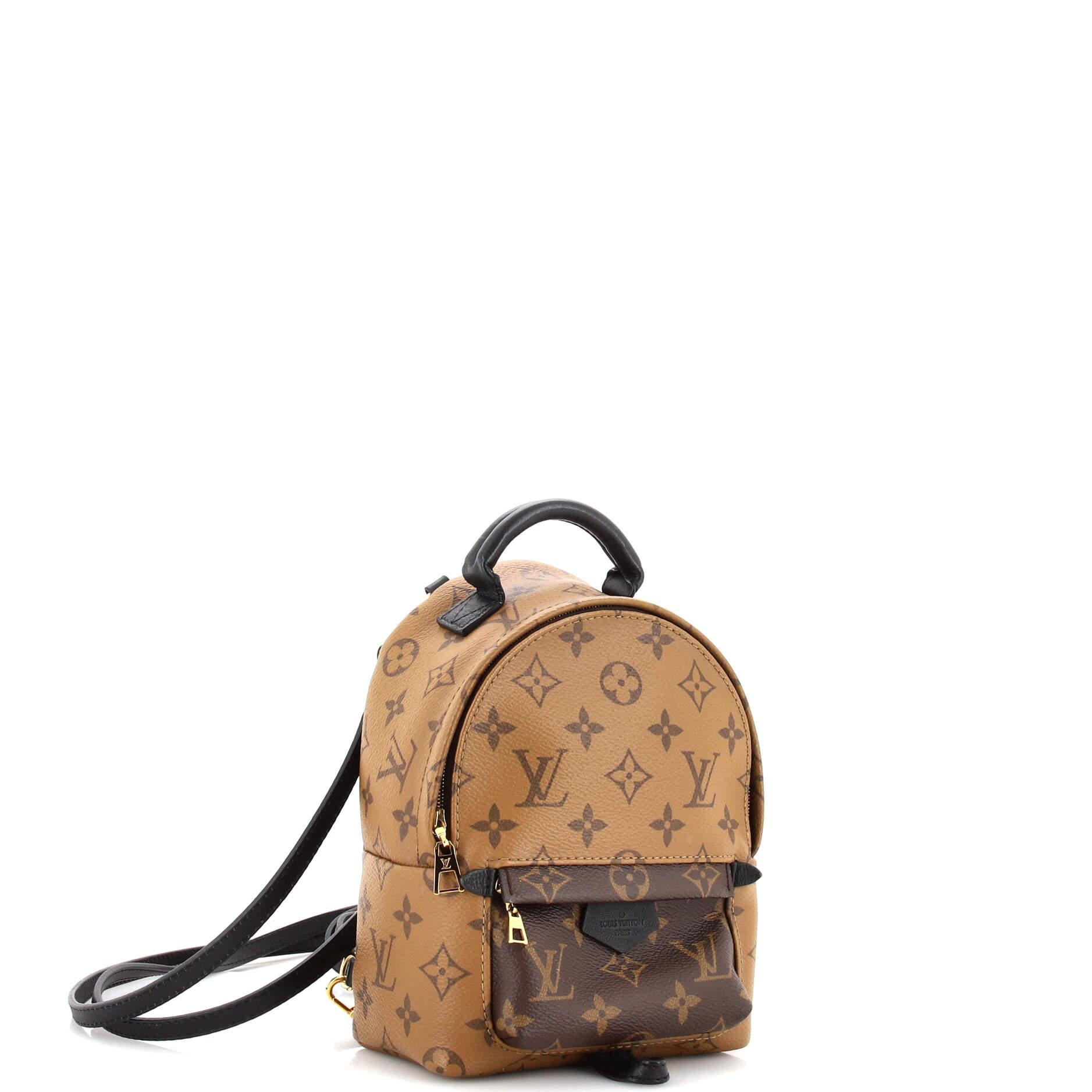 Louis Vuitton Reverse Palm Springs Mini Backpack at 1stDibs