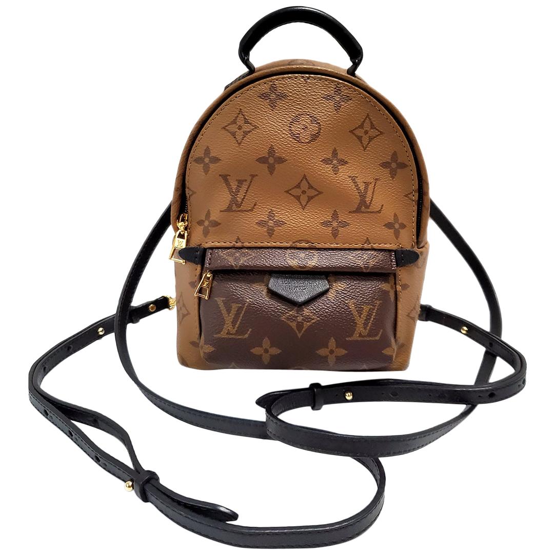 Louis Vuitton Palm Springs Brown Monogram Backpack Handbag For Sale