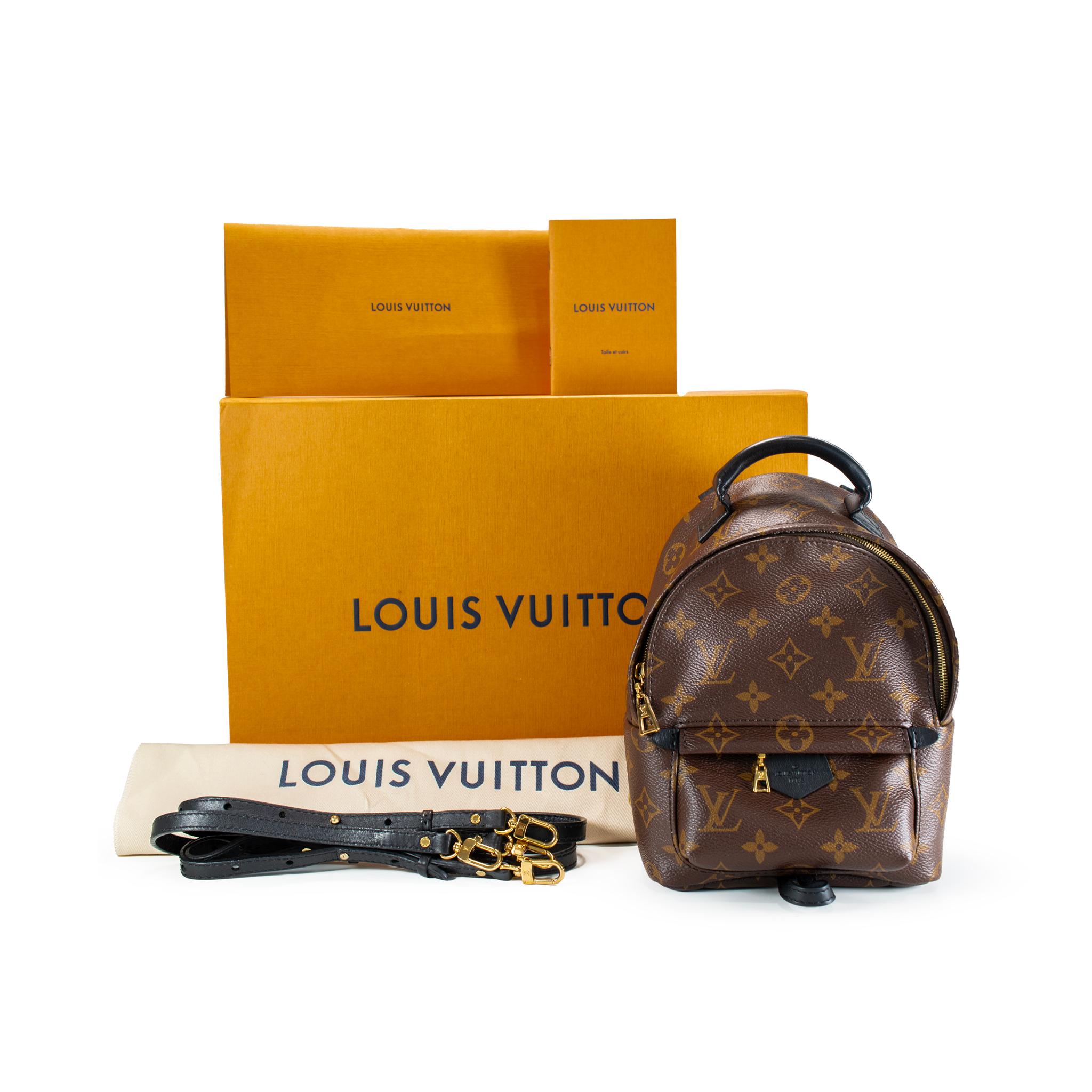 Louis Vuitton Palm Springs Braun Monogramm Canvas M44873 Mini-Rucksack im Angebot 5