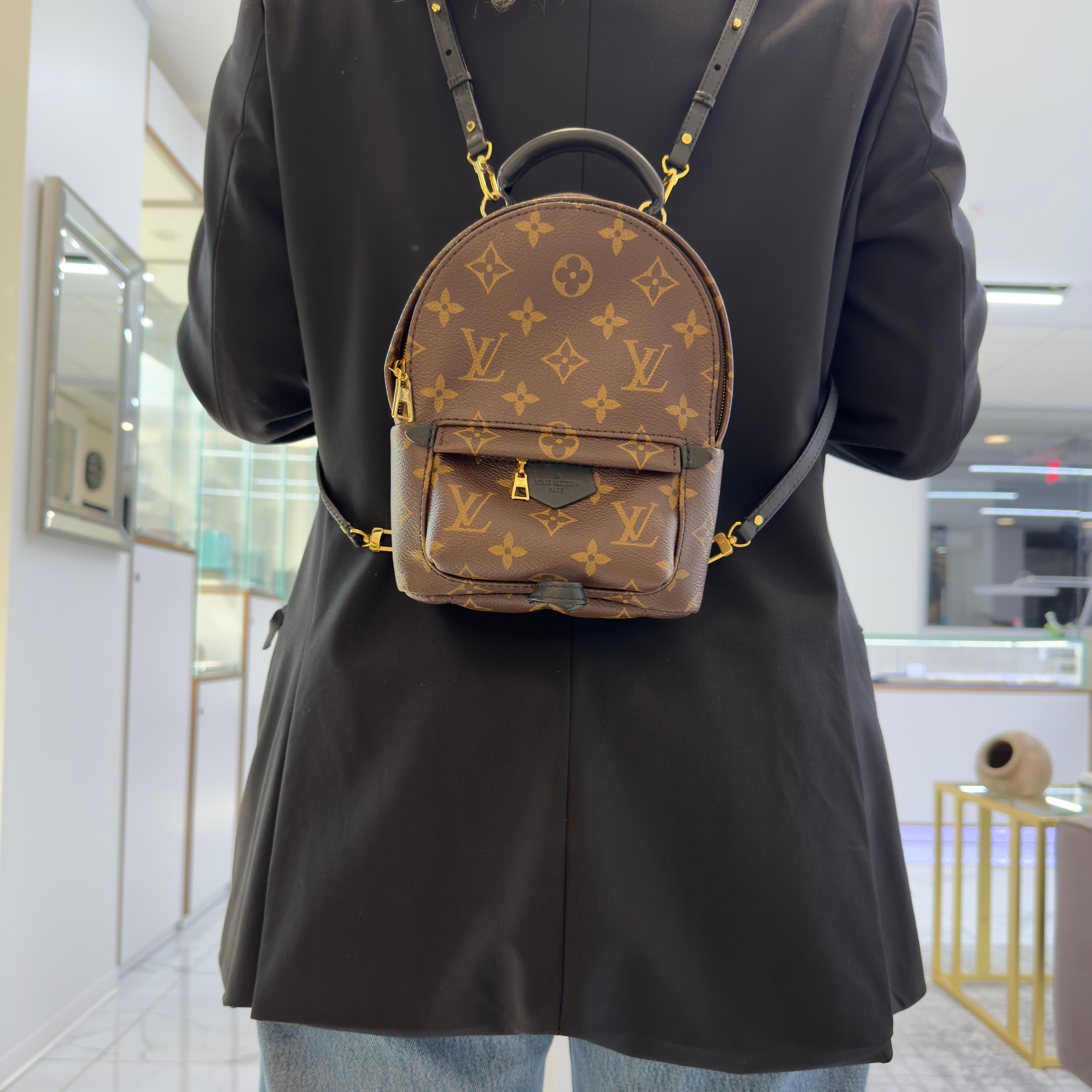 Louis Vuitton Palm Springs Braun Monogramm Canvas M44873 Mini-Rucksack im Angebot 6
