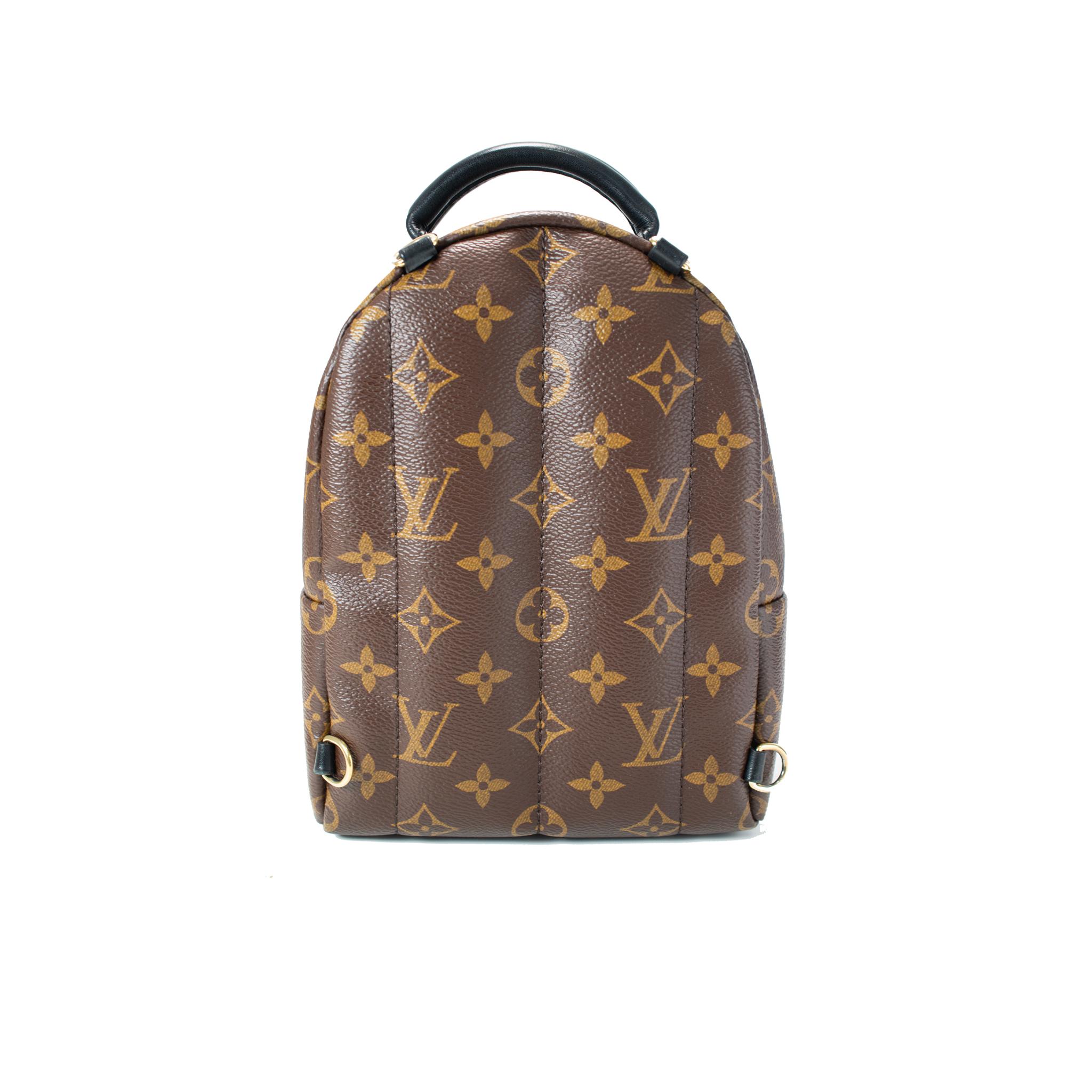 Marke: Louis Vuitton

Geschlecht: Damen

Höhe: 8,70 Zoll

Breite: 6,75 Zoll

Tiefe: 3,90 Zoll

Gewicht: 350,00 Gramm

Louis Vuitton Palm Springs Braun Monogram Canvas M44873 Mini-Rucksack. Graviert mit 