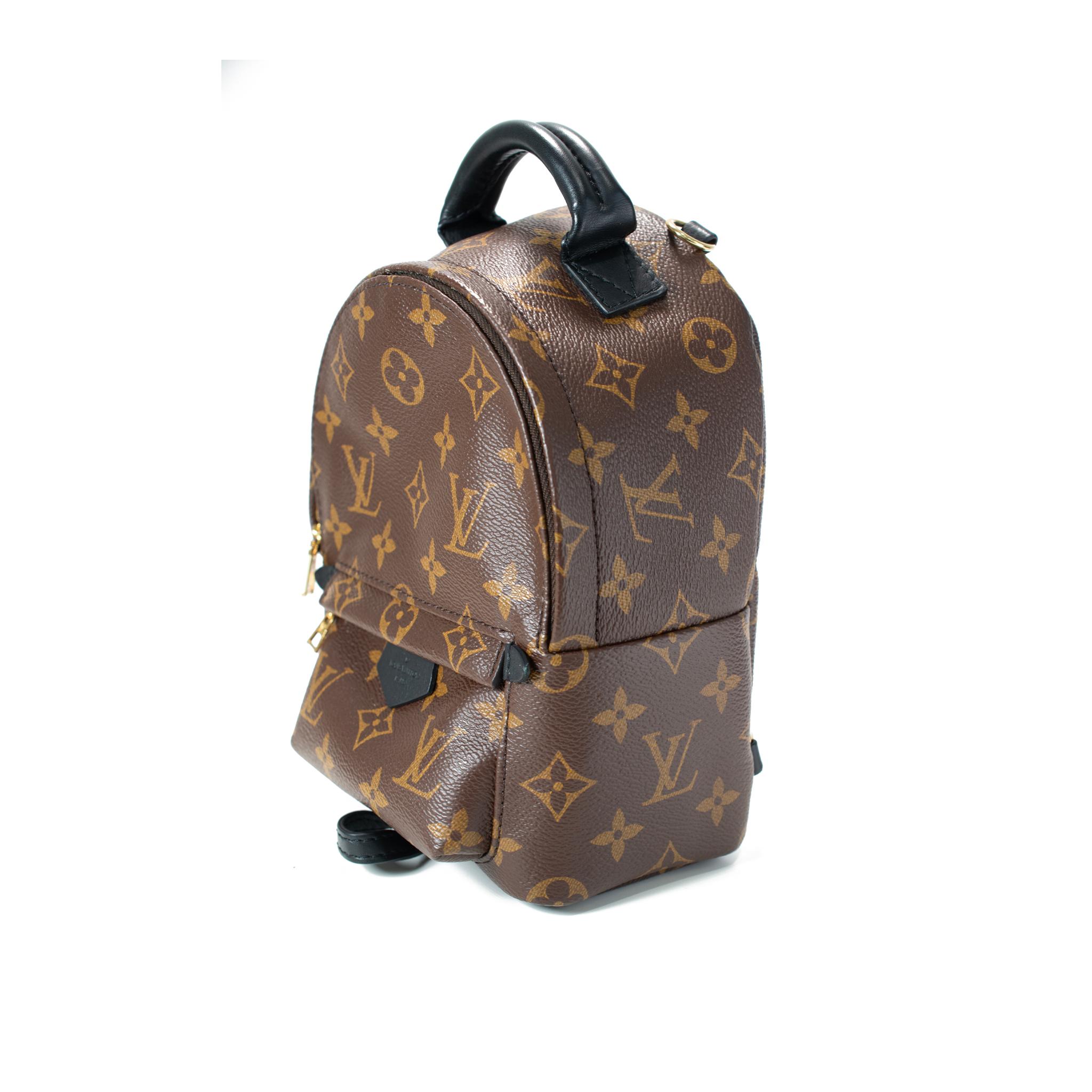 Louis Vuitton Palm Springs Braun Monogramm Canvas M44873 Mini-Rucksack (Grau) im Angebot