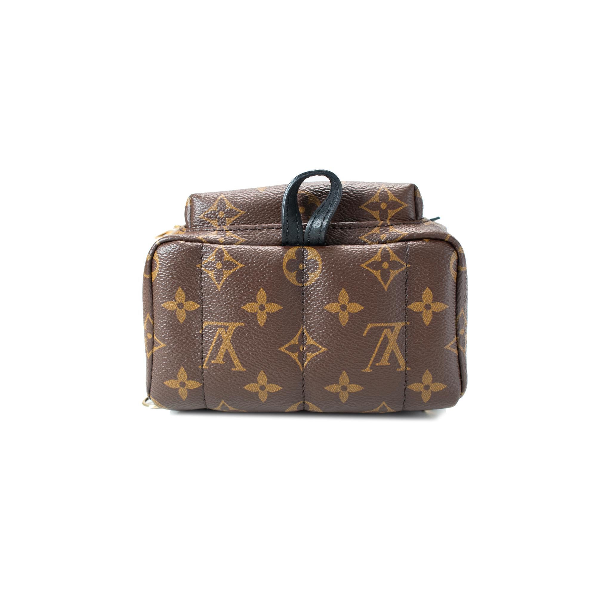 Louis Vuitton Palm Springs Braun Monogramm Canvas M44873 Mini-Rucksack im Zustand „Hervorragend“ im Angebot in Houston, US