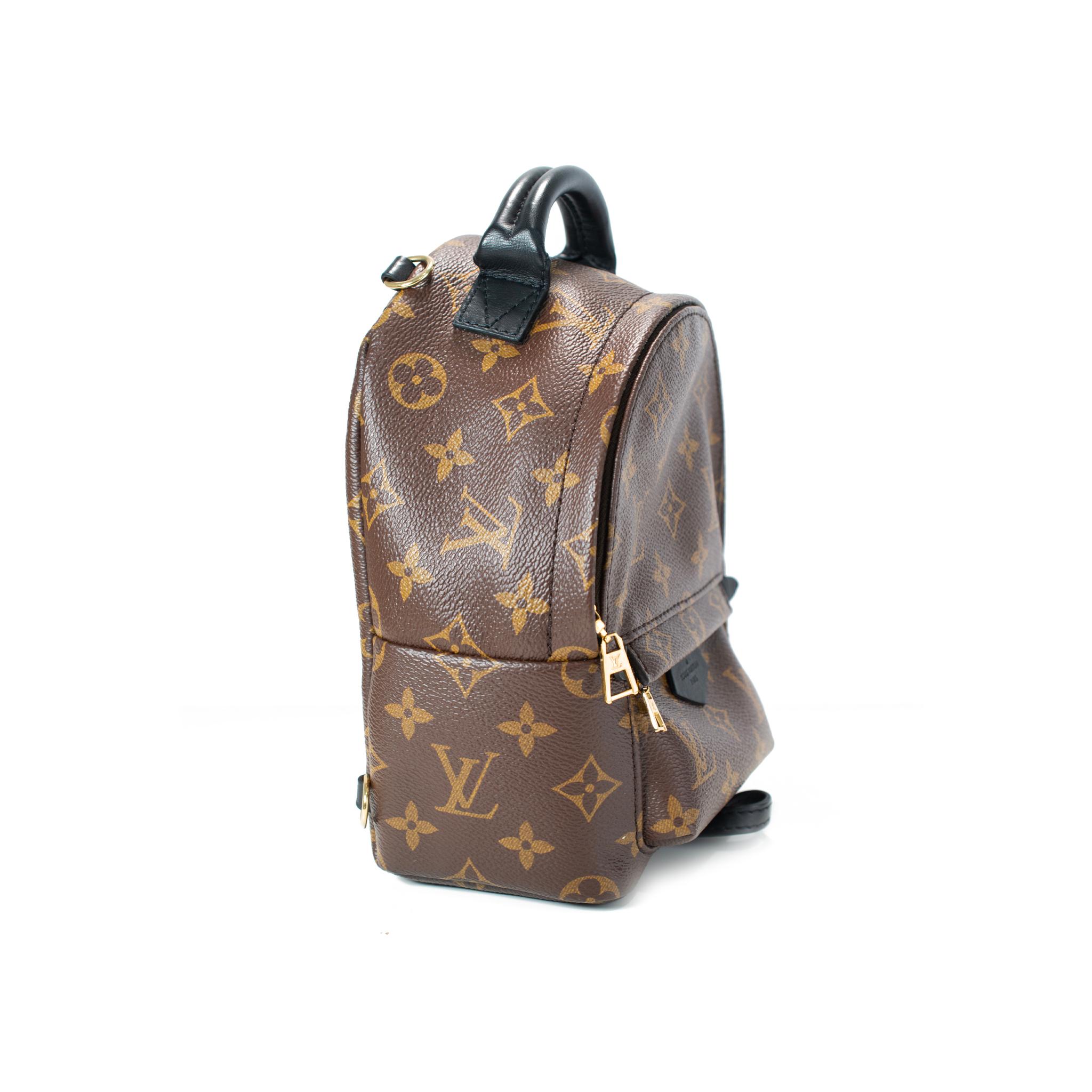 Louis Vuitton Palm Springs Braun Monogramm Canvas M44873 Mini-Rucksack für Damen oder Herren im Angebot
