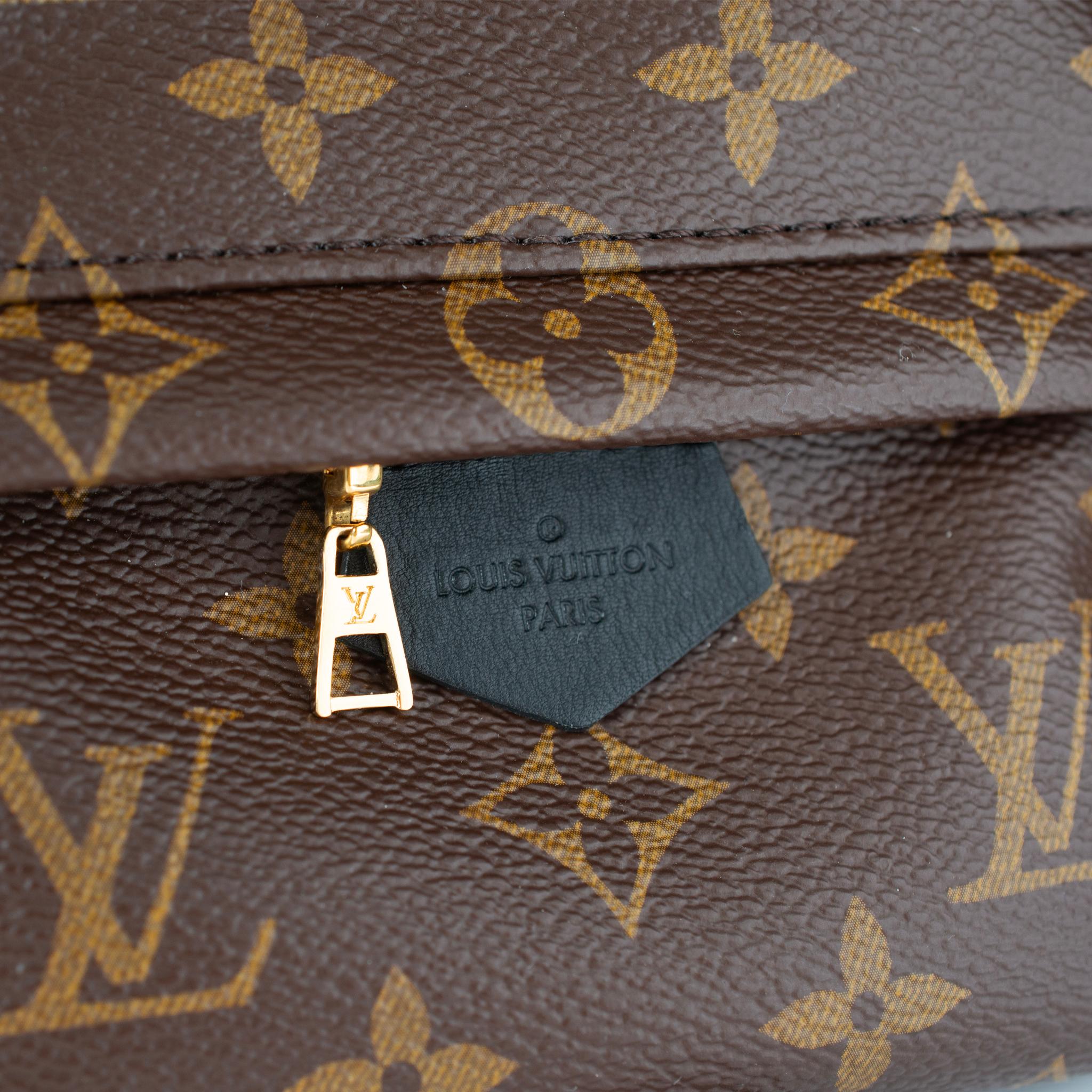 Louis Vuitton Palm Springs Braun Monogramm Canvas M44873 Mini-Rucksack im Angebot 2