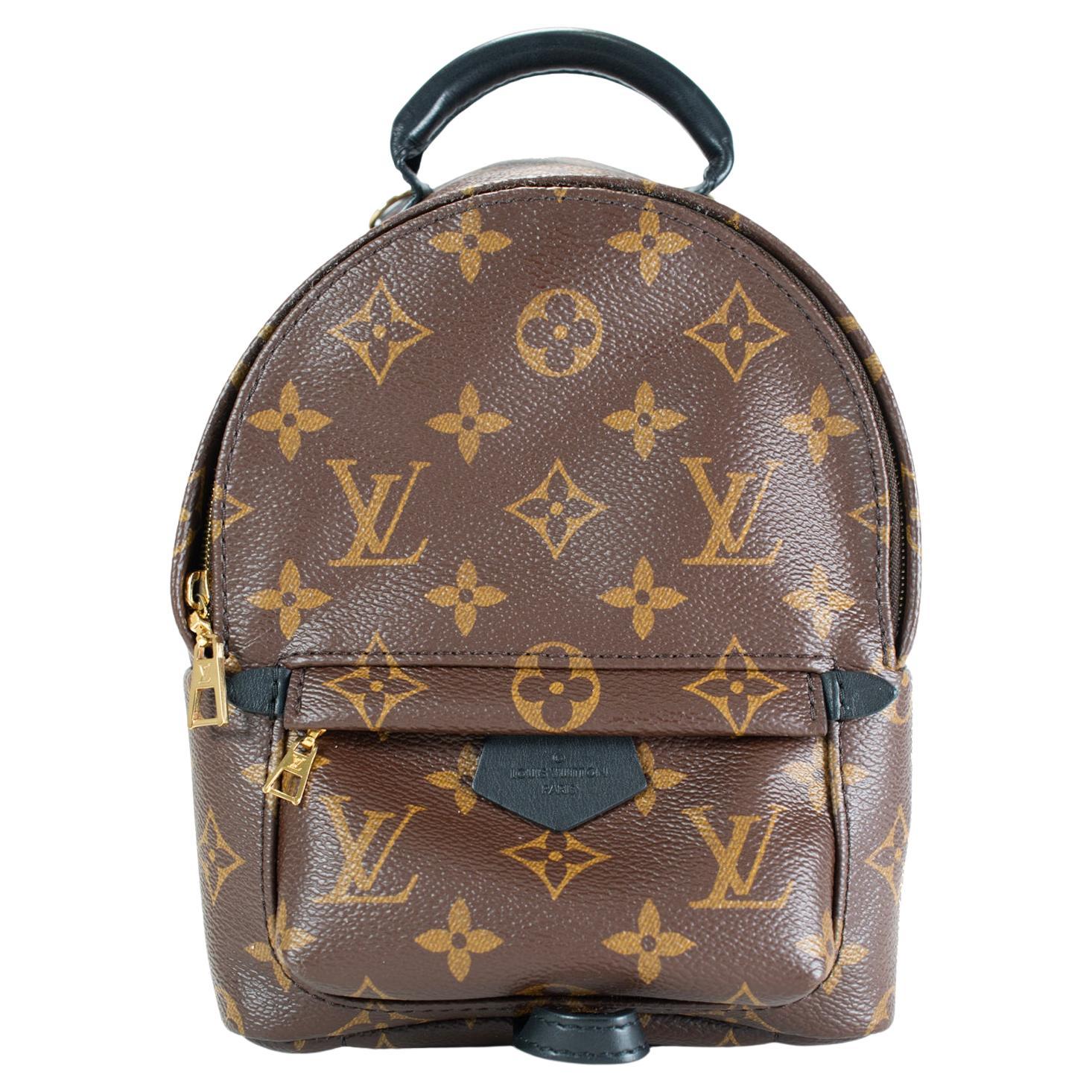 Louis Vuitton Palm Springs Braun Monogramm Canvas M44873 Mini-Rucksack im Angebot