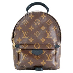 Antique Louis Vuitton Palm Springs Brown Monogram Canvas M44873 Mini Backpack