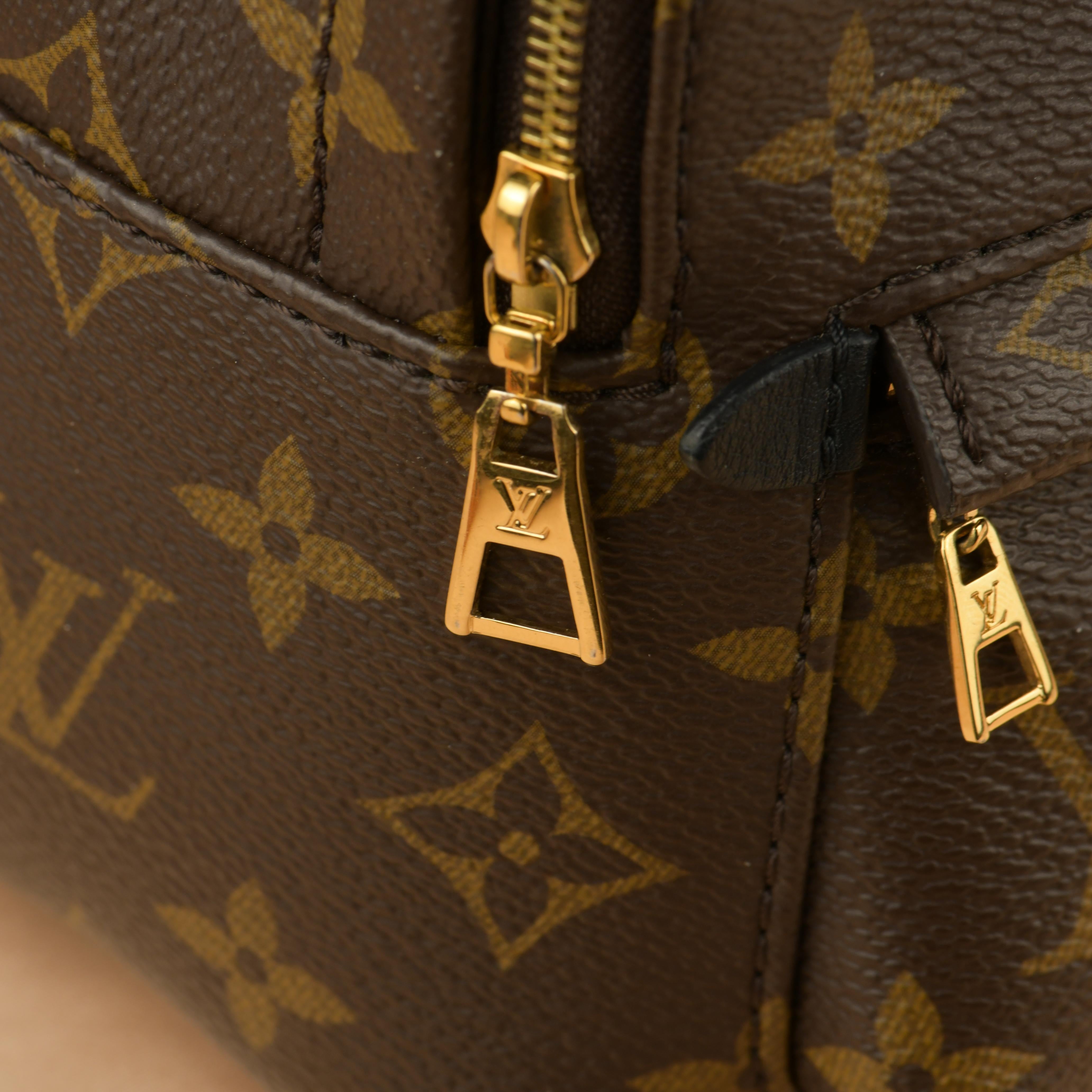 Louis Vuitton Palm Springs Mini Backpack 6
