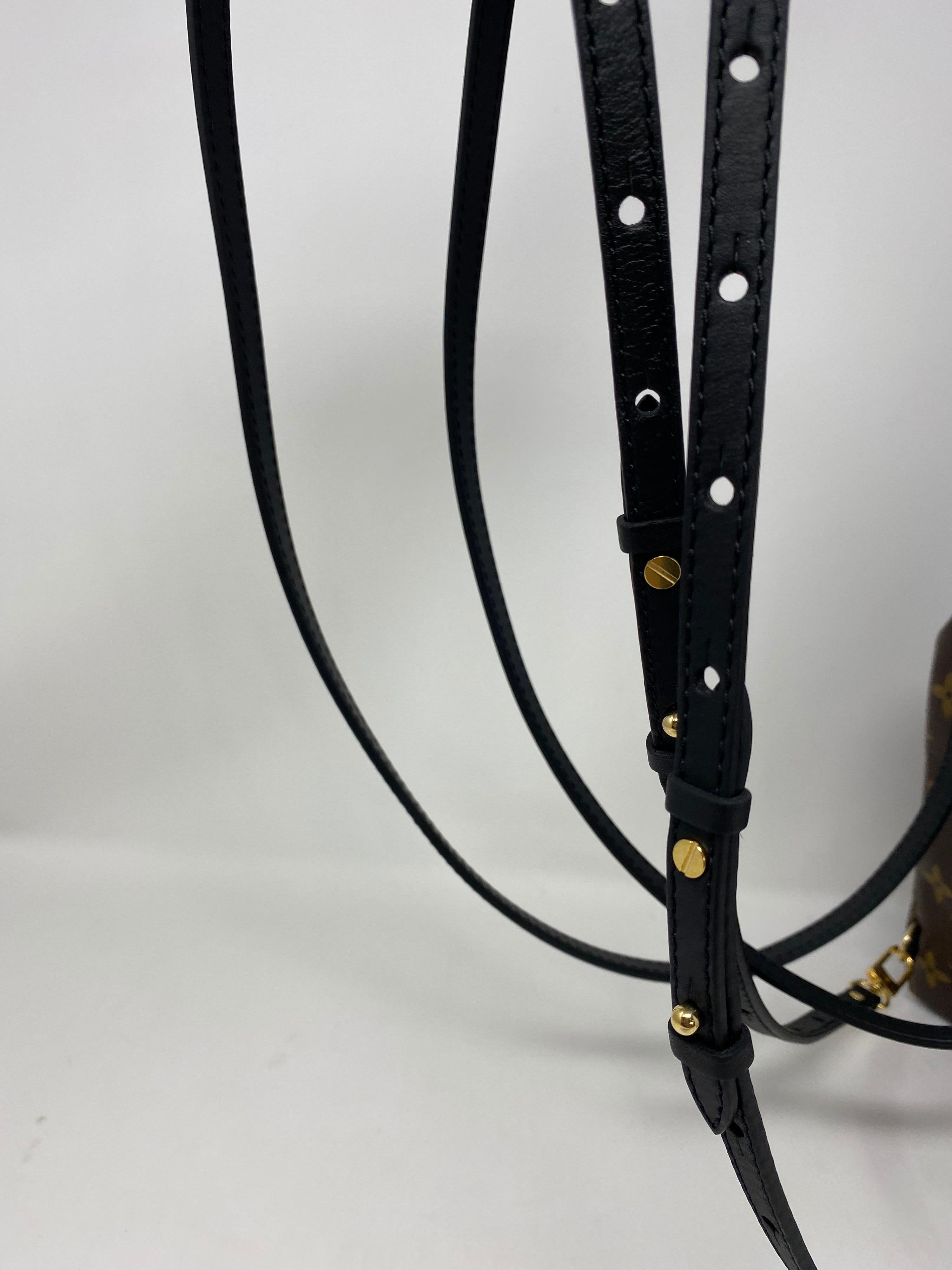 Louis Vuitton Palm Springs Mini Backpack 9