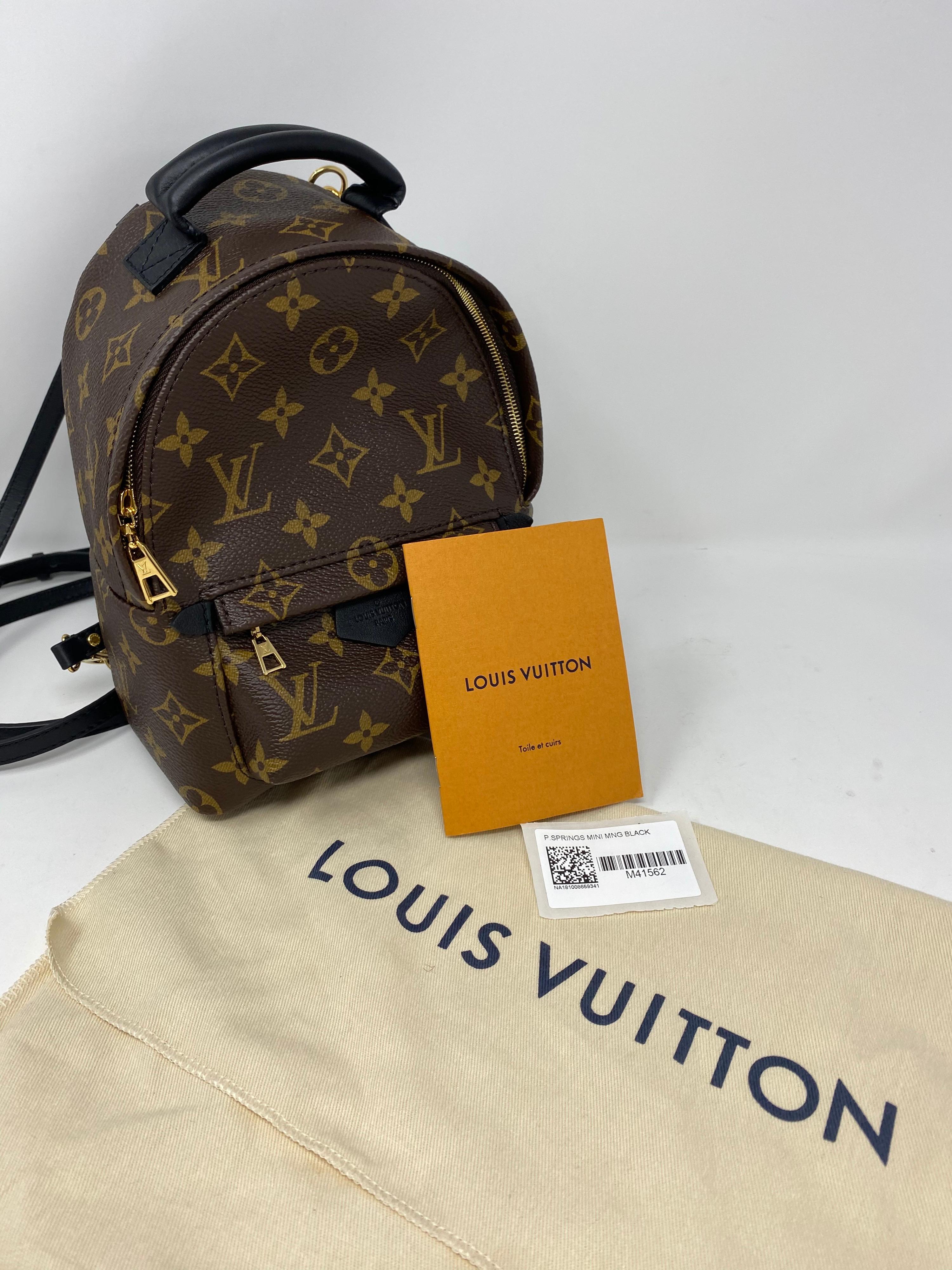 Louis Vuitton Palm Springs Mini Backpack  11