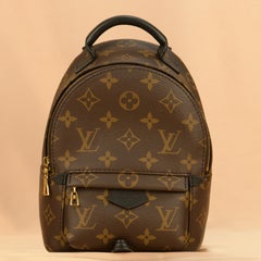 Louis Vuitton Palm Springs Mini Backpack