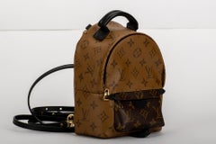 Louis Vuitton Palm Springs Mini Backpack