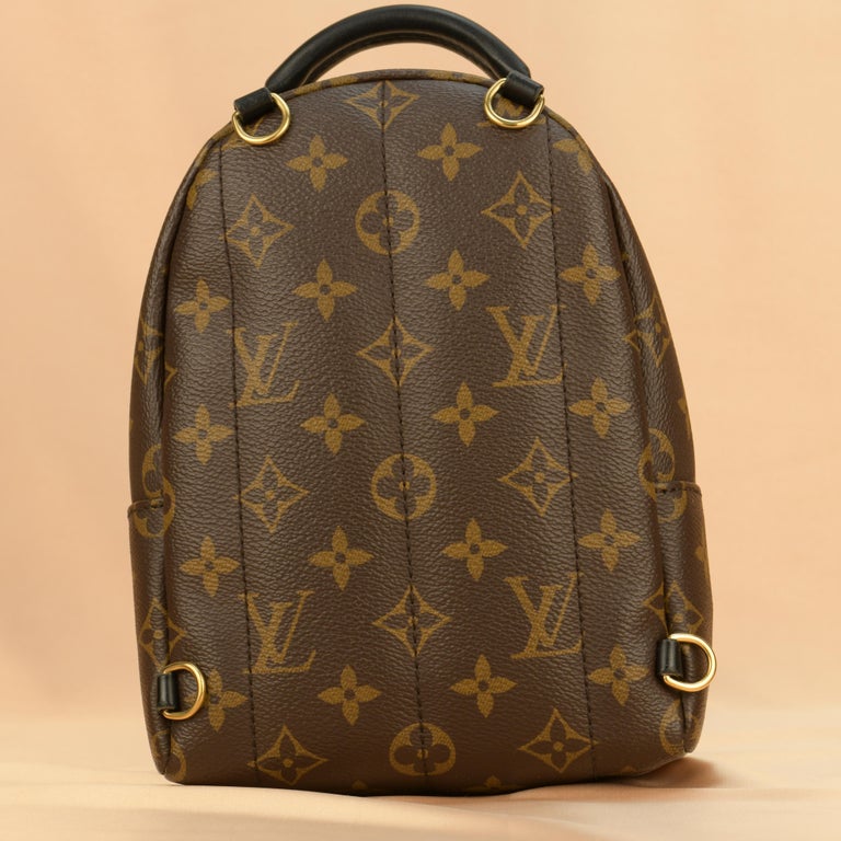 Louis Vuitton Palm Springs Mini Backpack at 1stDibs  louis vuitton  crossbody backpack, palm springs mini crossbody