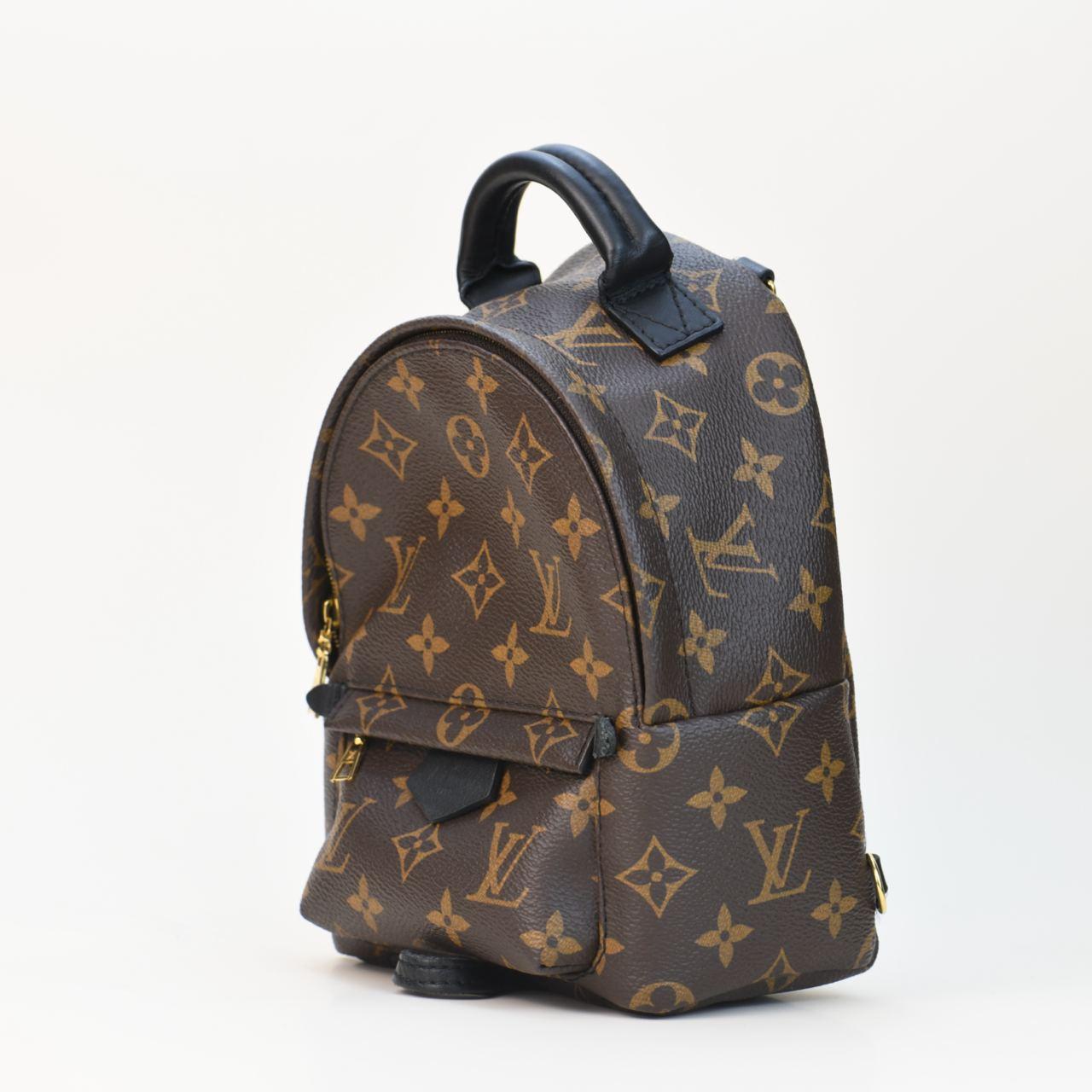 Louis Vuitton Palm Springs Mini Backpack In Excellent Condition For Sale In Banbury, GB