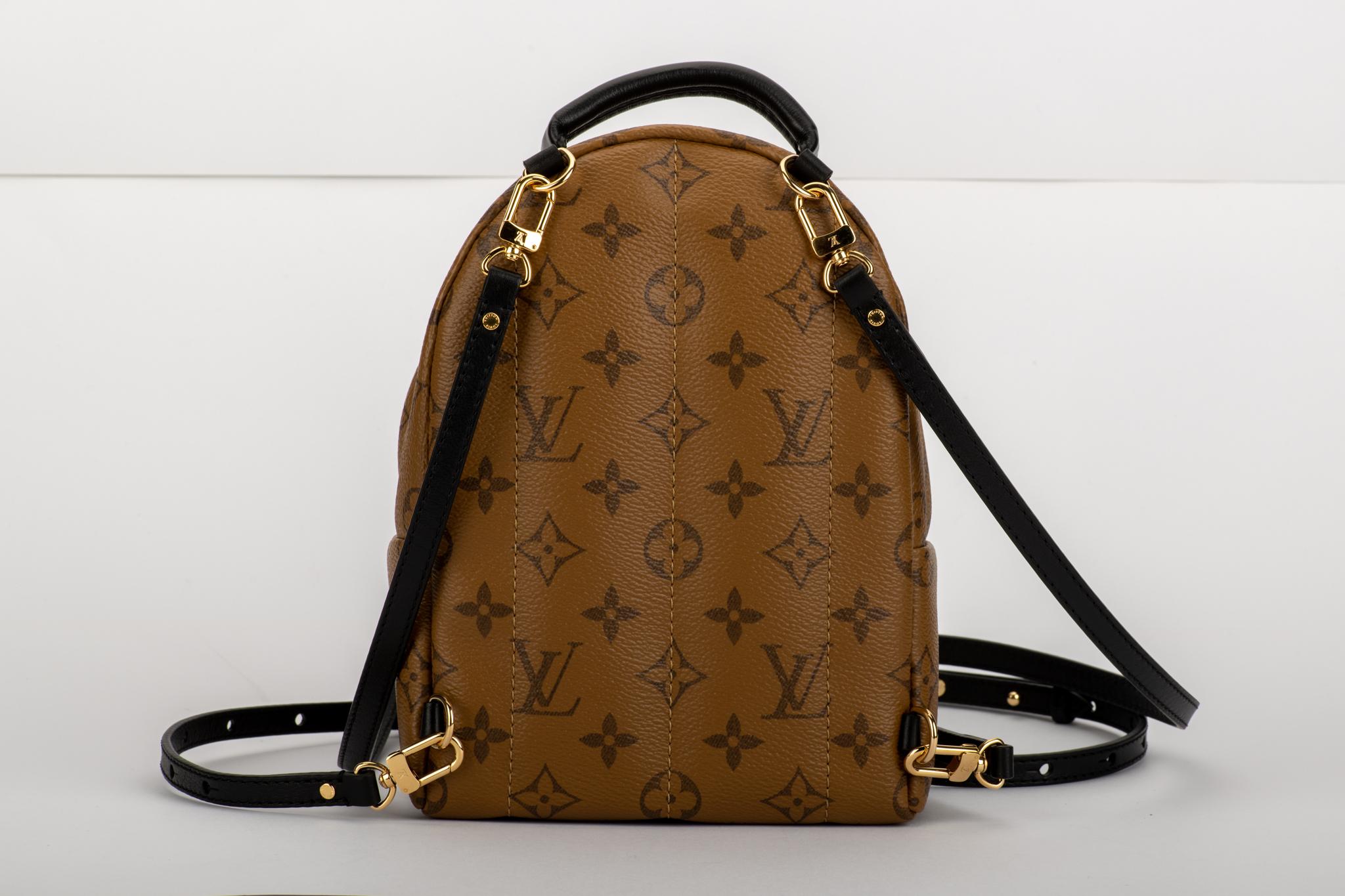 louis vuitton backpack mini