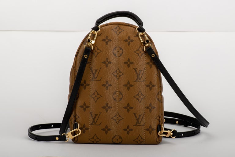 Louis Vuitton Palm Springs Mini Backpack For Sale at 1stDibs  louis vuitton  backpack mini, louis vuitton small backpack, mini lv backpack