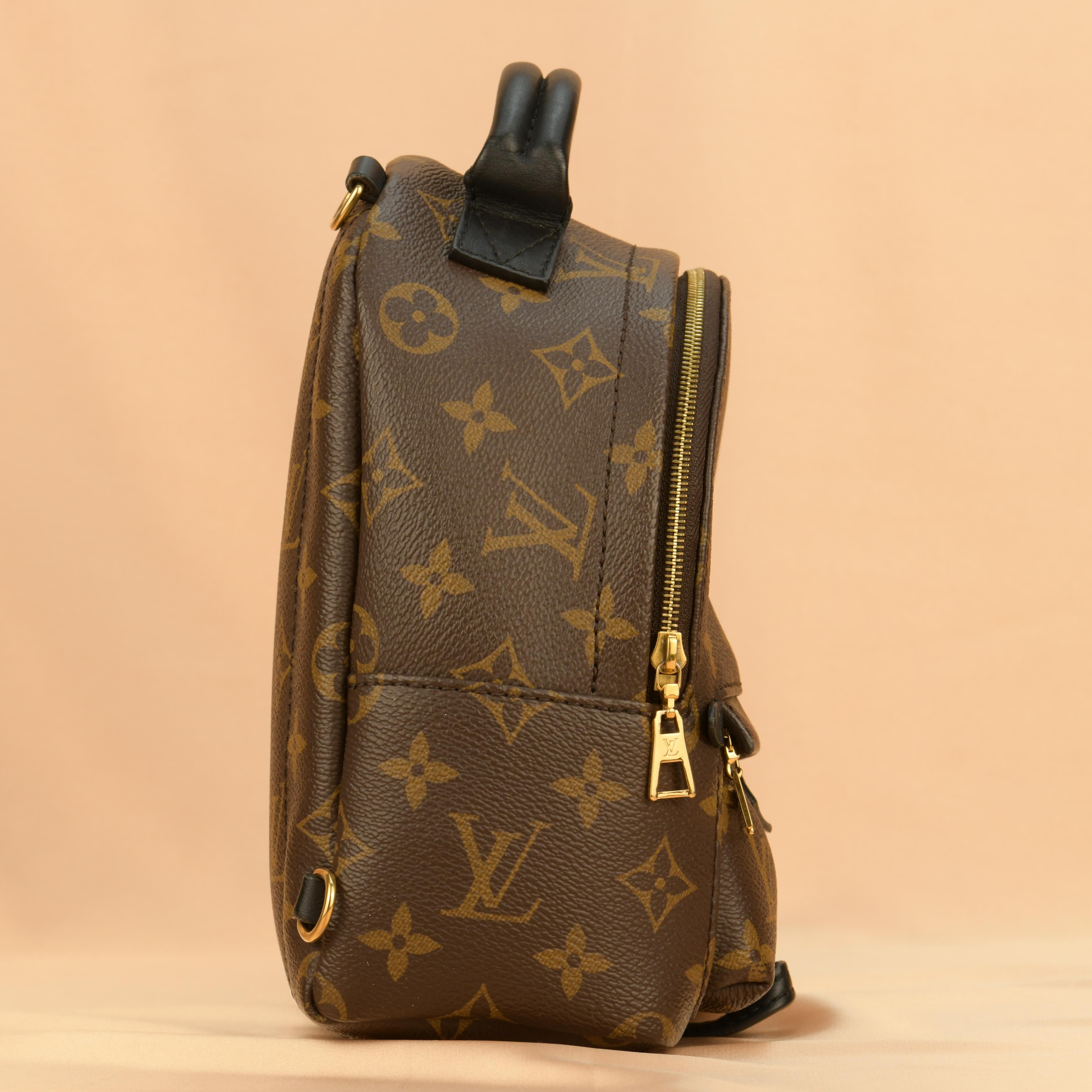 Louis Vuitton Palm Springs Mini Backpack In Excellent Condition In Banbury, GB