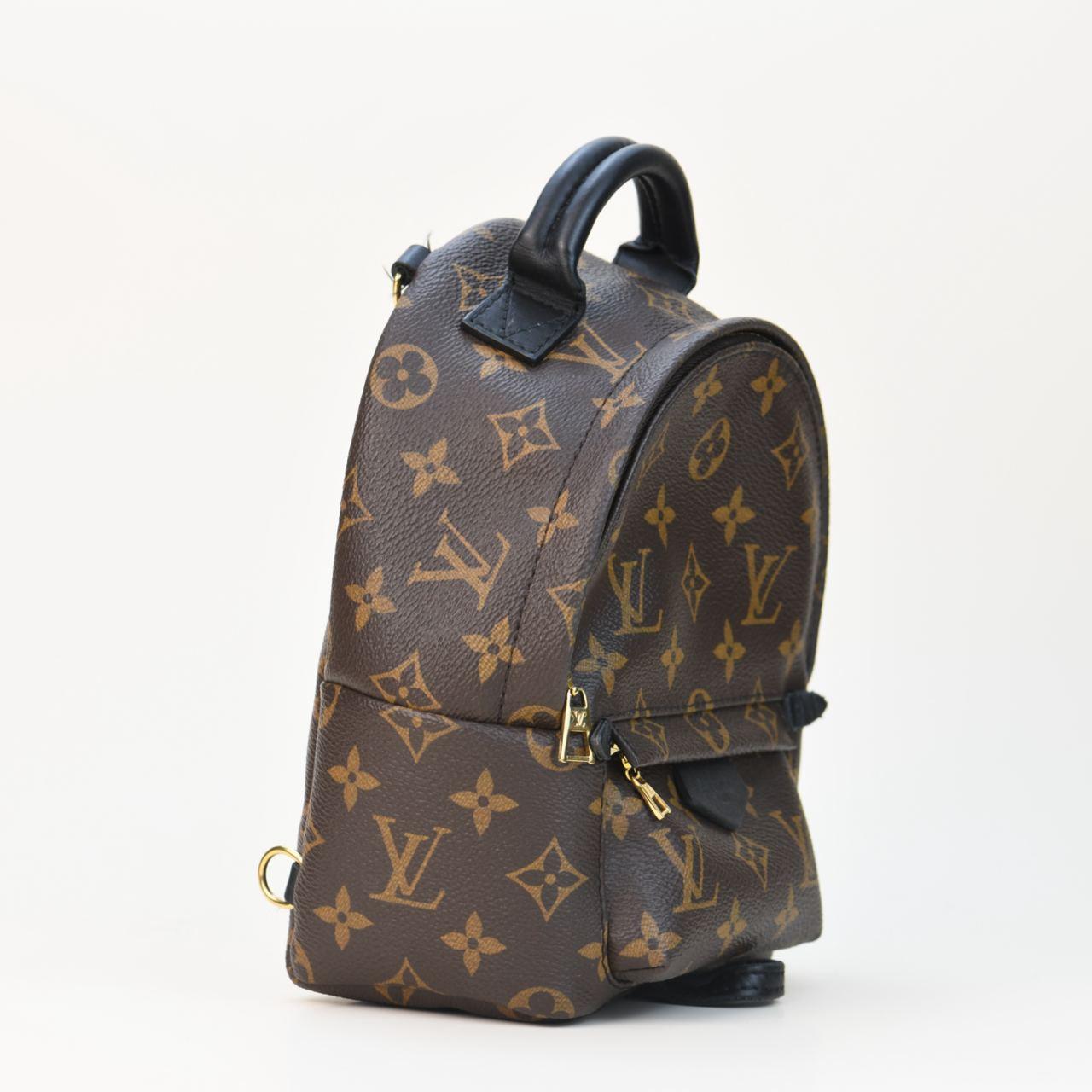 Women's or Men's Louis Vuitton Palm Springs Mini Backpack For Sale