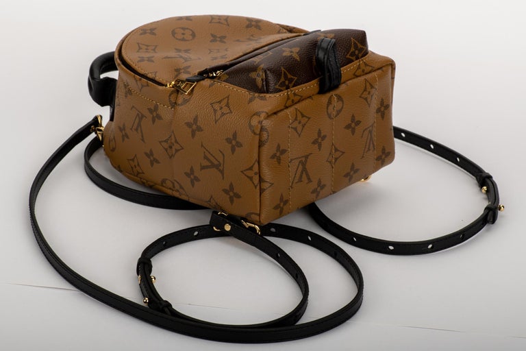Louis Vuitton - Mini sac à dos Palm Springs En vente sur 1stDibs