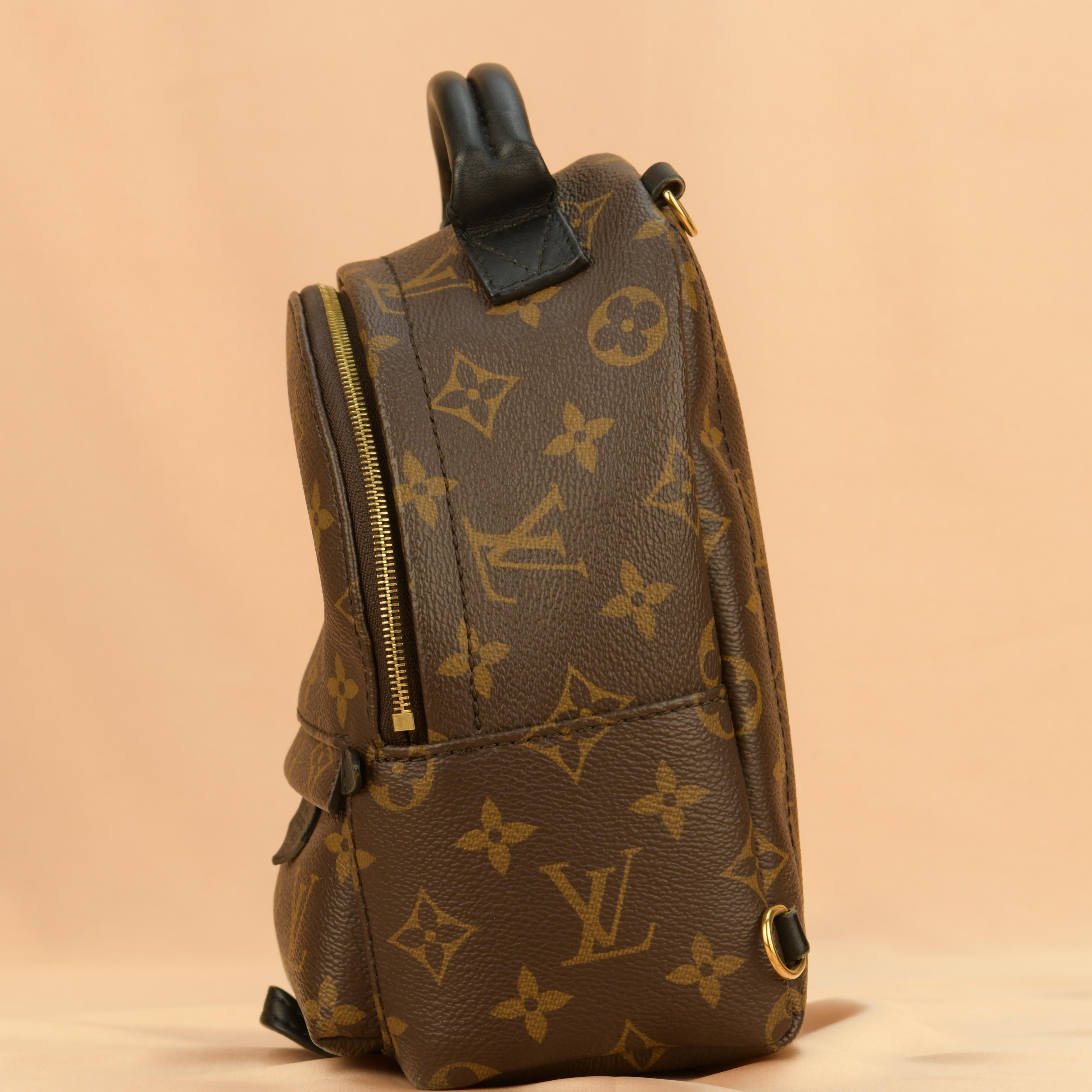 Women's or Men's Louis Vuitton Palm Springs Mini Backpack