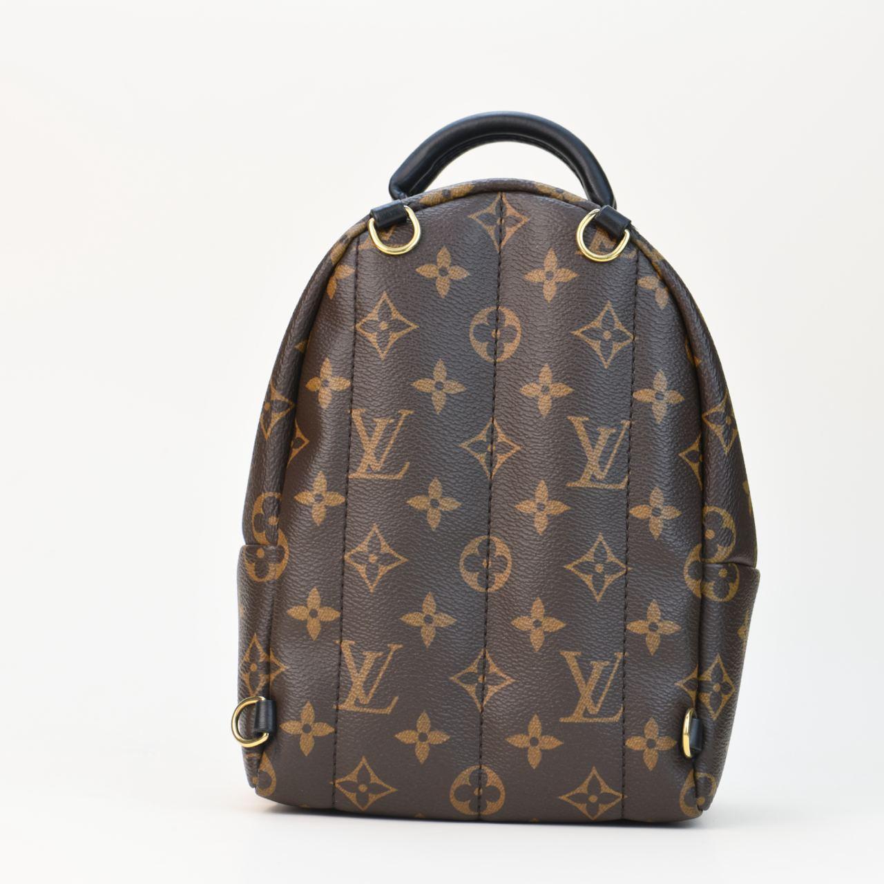 Louis Vuitton Palm Springs Mini Backpack For Sale 1