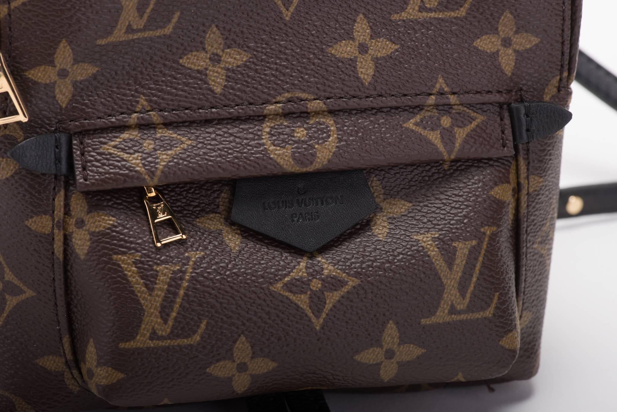 Louis Vuitton Mini sac à dos Palm Springs  Pour femmes en vente